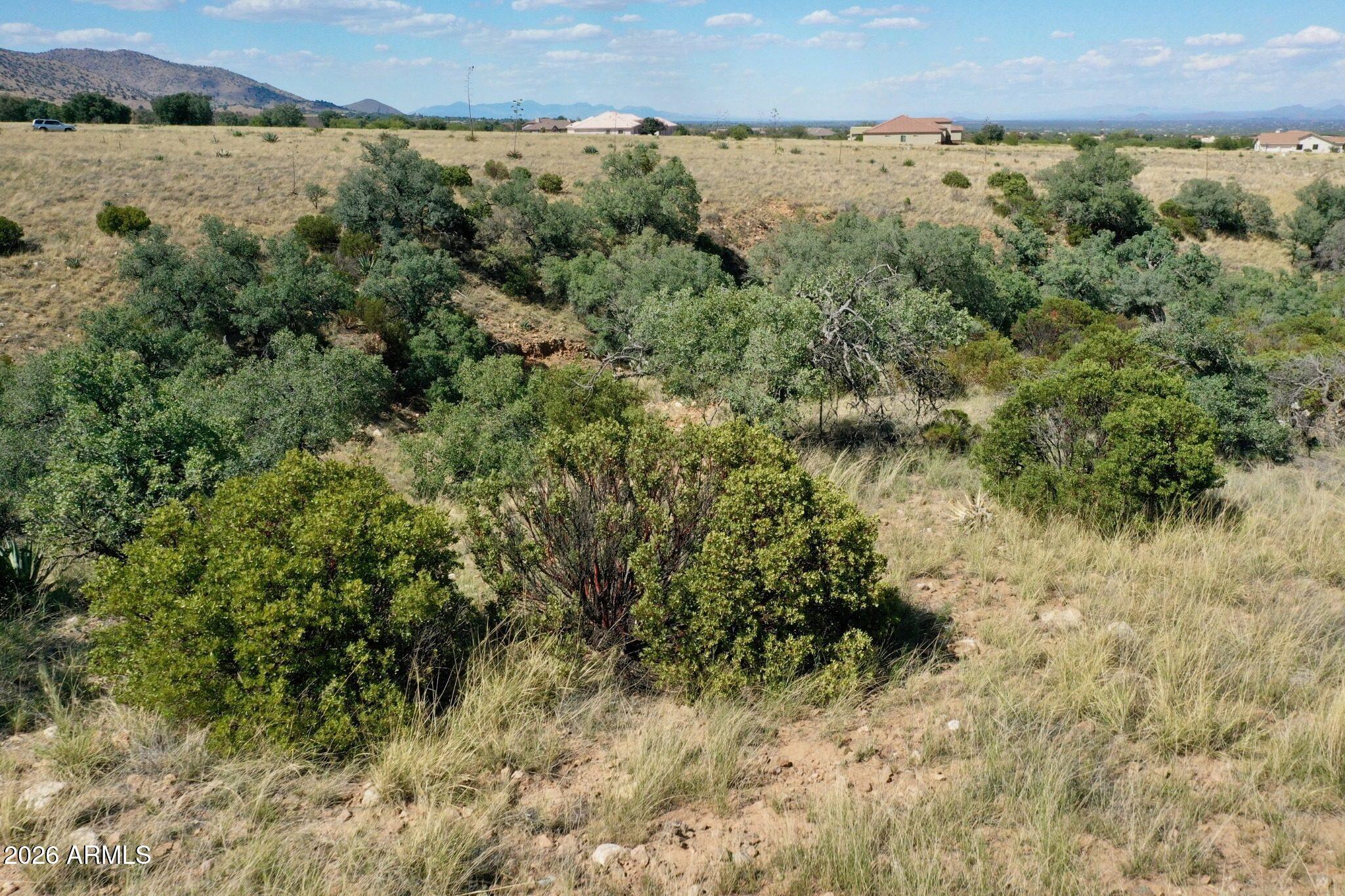WILDHORSE - Land
