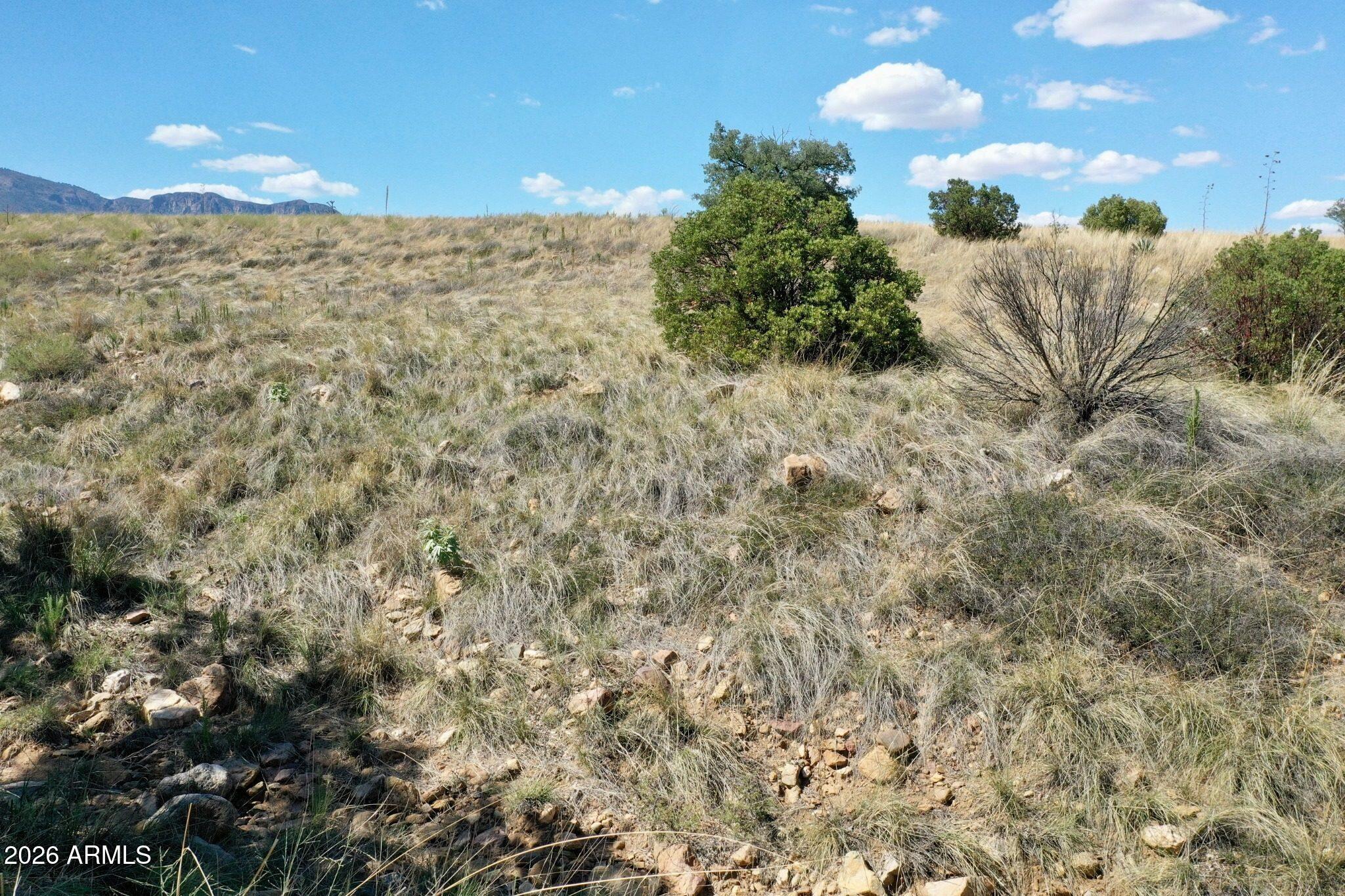 WILDHORSE - Land
