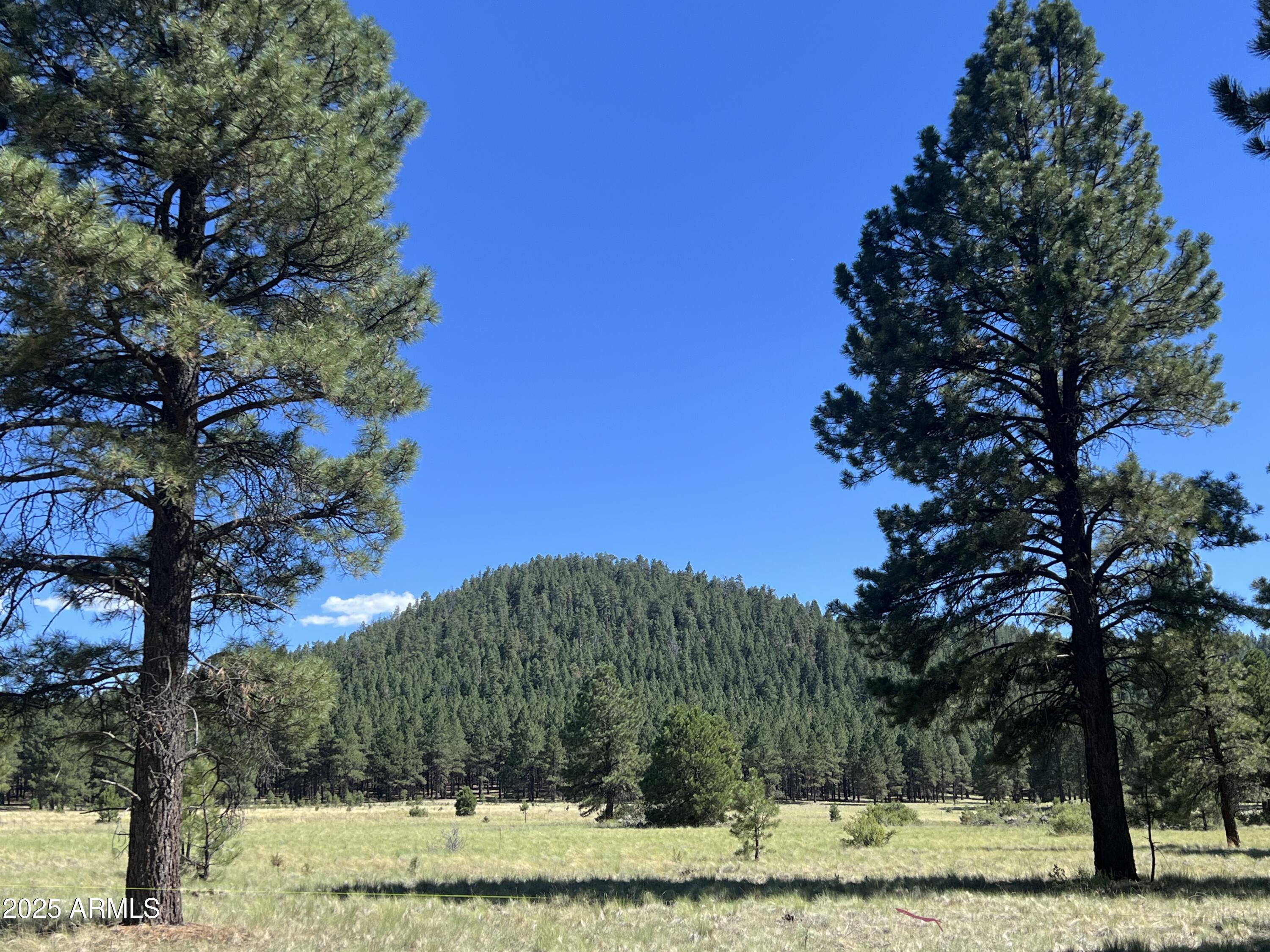 20 Acre off grid view property - Land