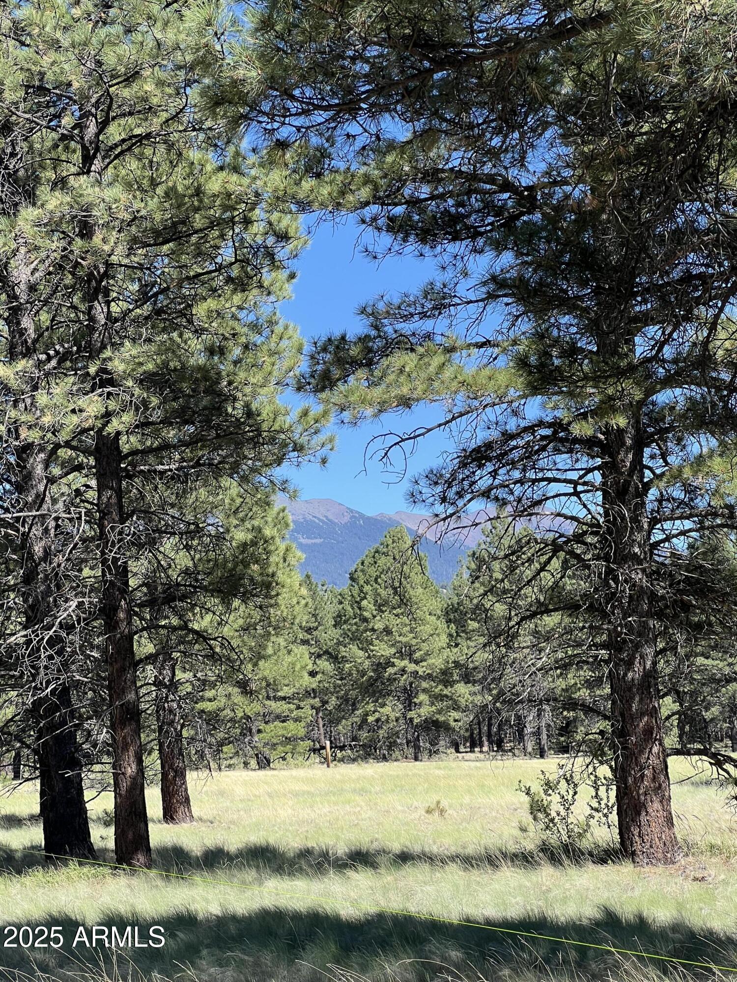 20 Acre off grid view property - Land