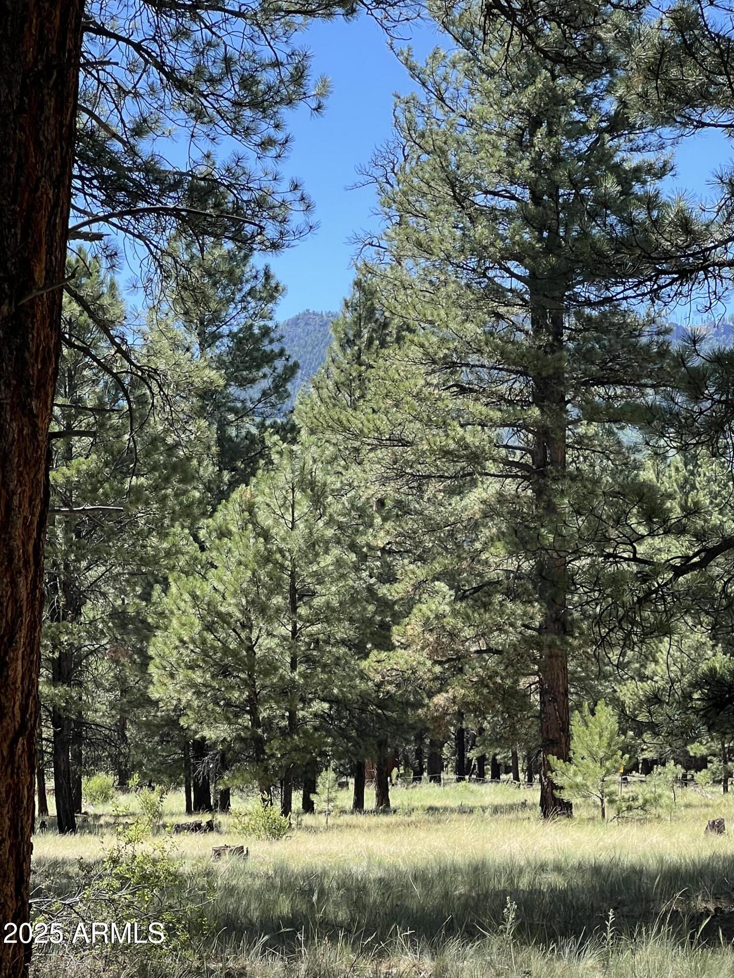 20 Acre off grid view property - Land