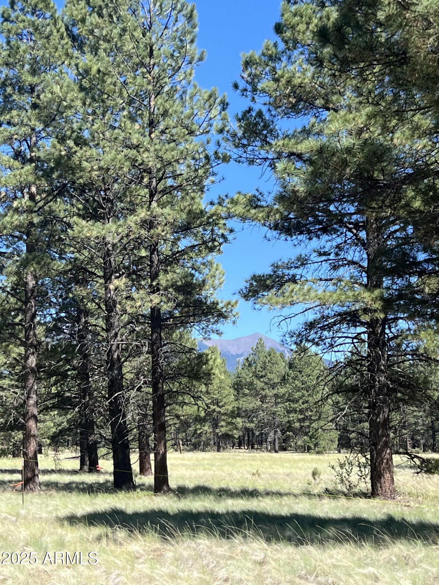 20 Acre off grid view property - Land