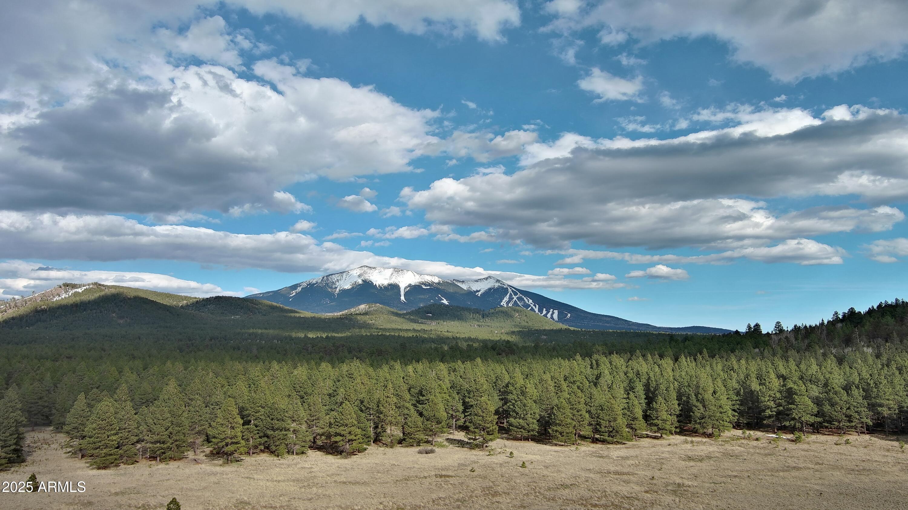 Pristine 20-acre rectangular wooded property with breathtaking views of Humphreys Peak, Kendrick Peak, and Deer Hill. Seller will carry! Bordered on the north and west by National Forest land, offering unmatched seclusion and direct trail access. Close to Highway 180 for convenient, year-round access. Its large rectangular shape provides excellent flexibility to position a home, barns, or other ranch-style improvements while maintaining privacy and maximizing mountain views. Enjoy the clean, cool air at 8,000 feet and endless outdoor adventure.