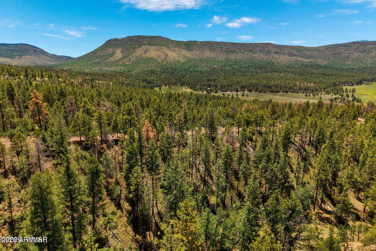NOBLE MOUNTAIN ESTATES AMD - Land