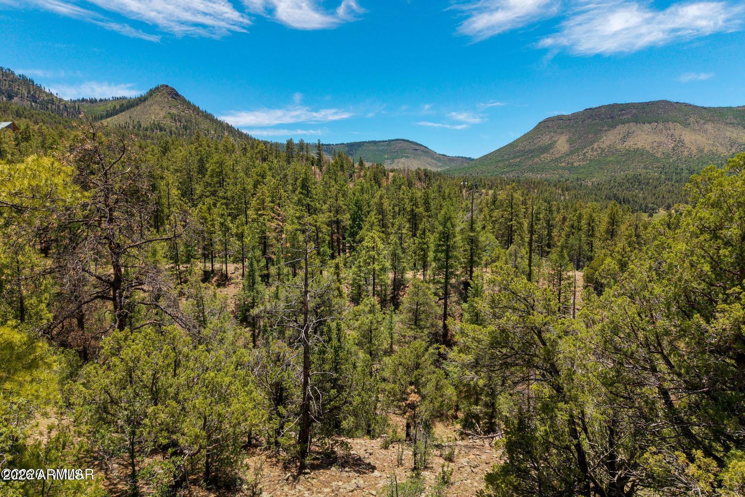 NOBLE MOUNTAIN ESTATES AMD - Land