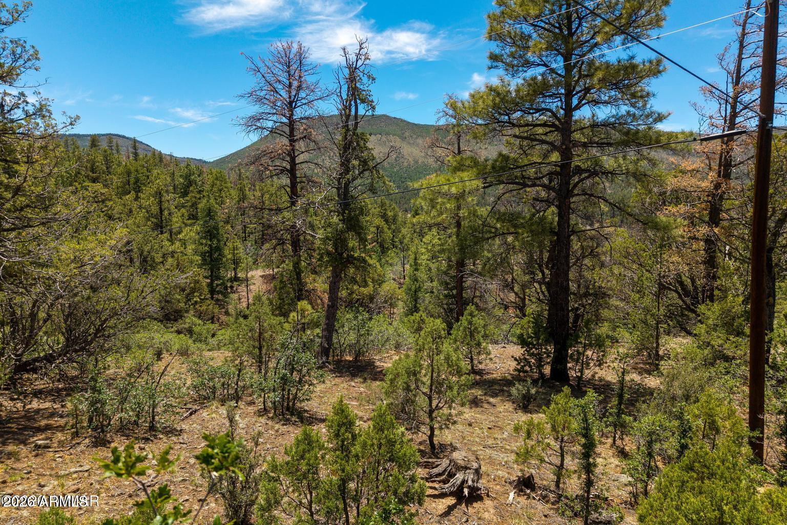 Perched high in Noble Mountain Estates and tucked back off Auger Canyon in the beautiful White Mountains, this 1.95-acre vacant lot offers the perfect setting for your future mountain retreat. Surrounded by mature timber and peaceful natural beauty, this property provides panoramic views and endless potential to build your dream cabin. Utilities are available at the lot line, including power and phone The lot has been perked and will require a private well and septic system upon development. Nutrioso is known for world-class hunting, fishing, hiking and biking trails, abundant wildlife, and small-town charm. Whether you are looking to escape the heat, enjoy a quiet mountain getaway, or create a year-round retreat, this property is a wonderful opportunity. Sunrise Ski Resort is approximately 40 minutes away, offering year-round recreation and entertainment.