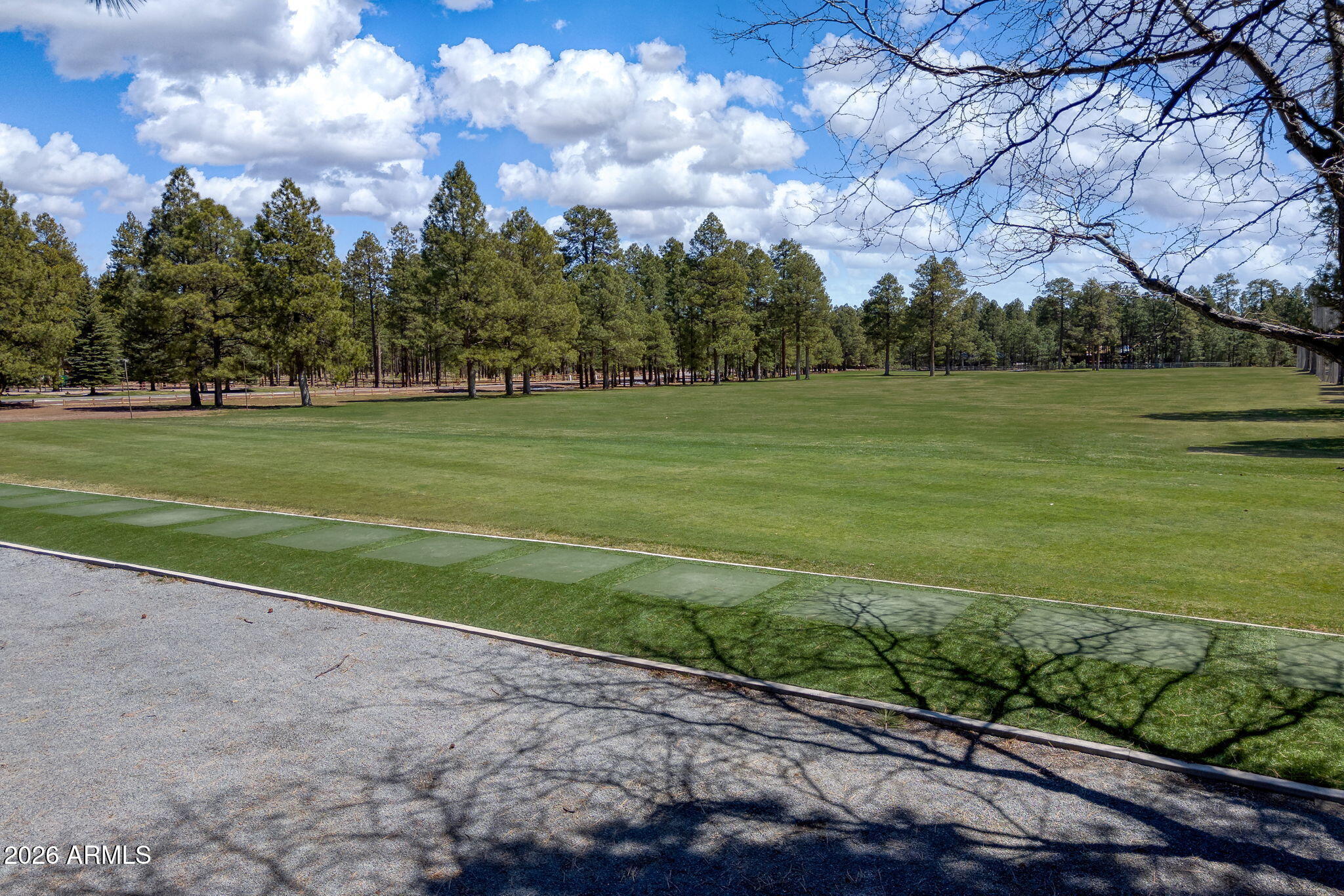 PINETOP LAKES COUNTRY CLUB UNIT 4 - Residential