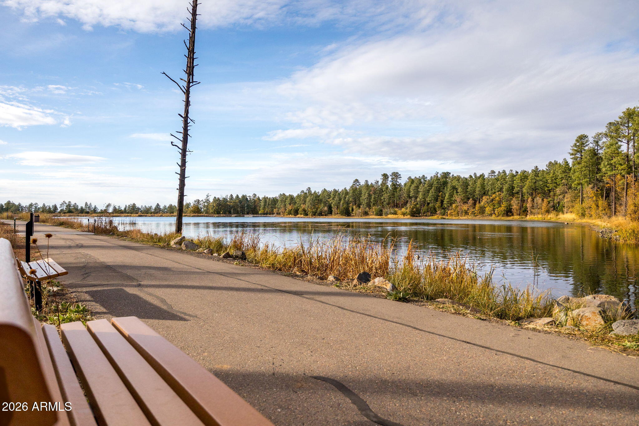 PINETOP LAKES COUNTRY CLUB UNIT 4 - Residential