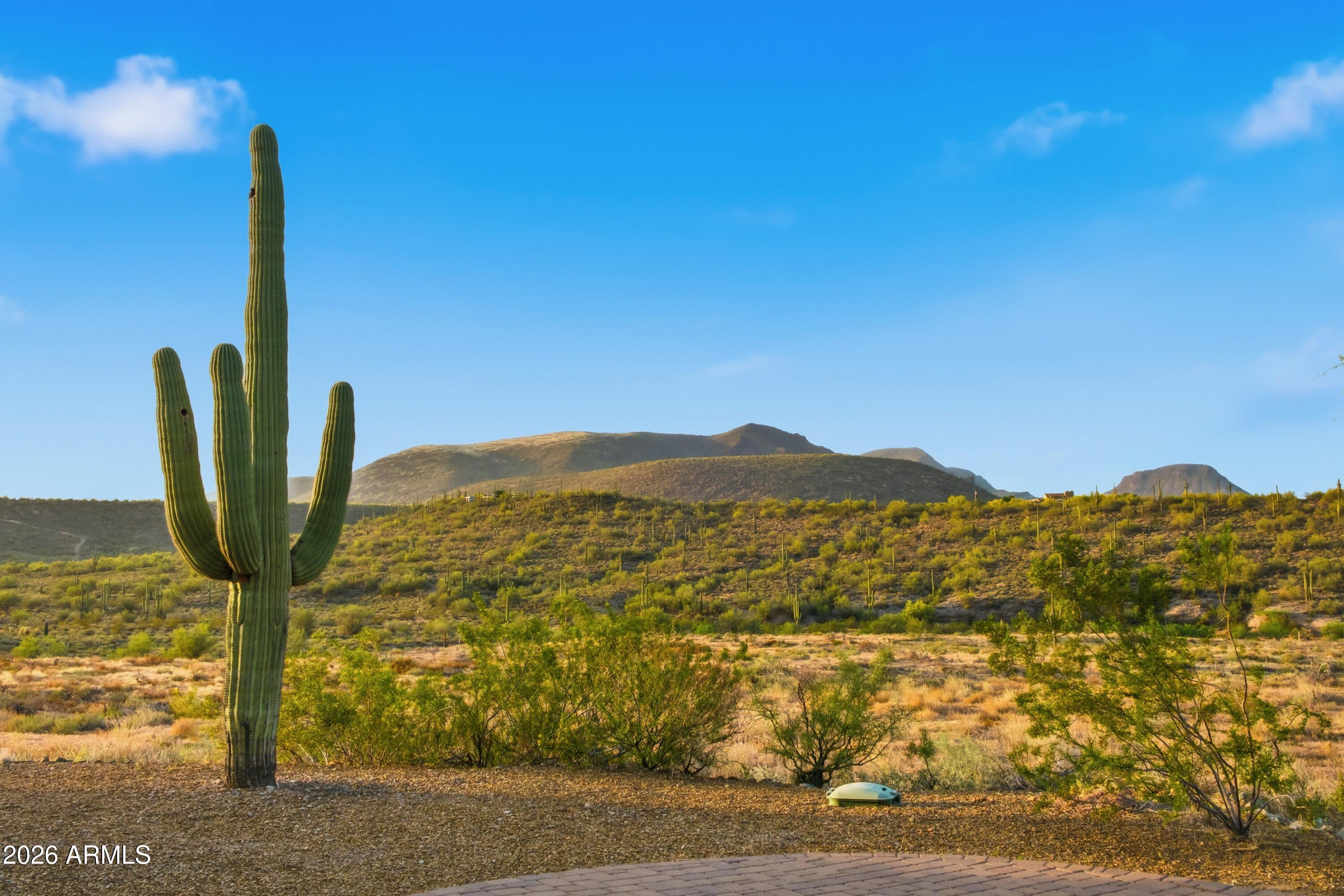 M&B  Very Private 25 acres adjoining State Land to the west. - Residential