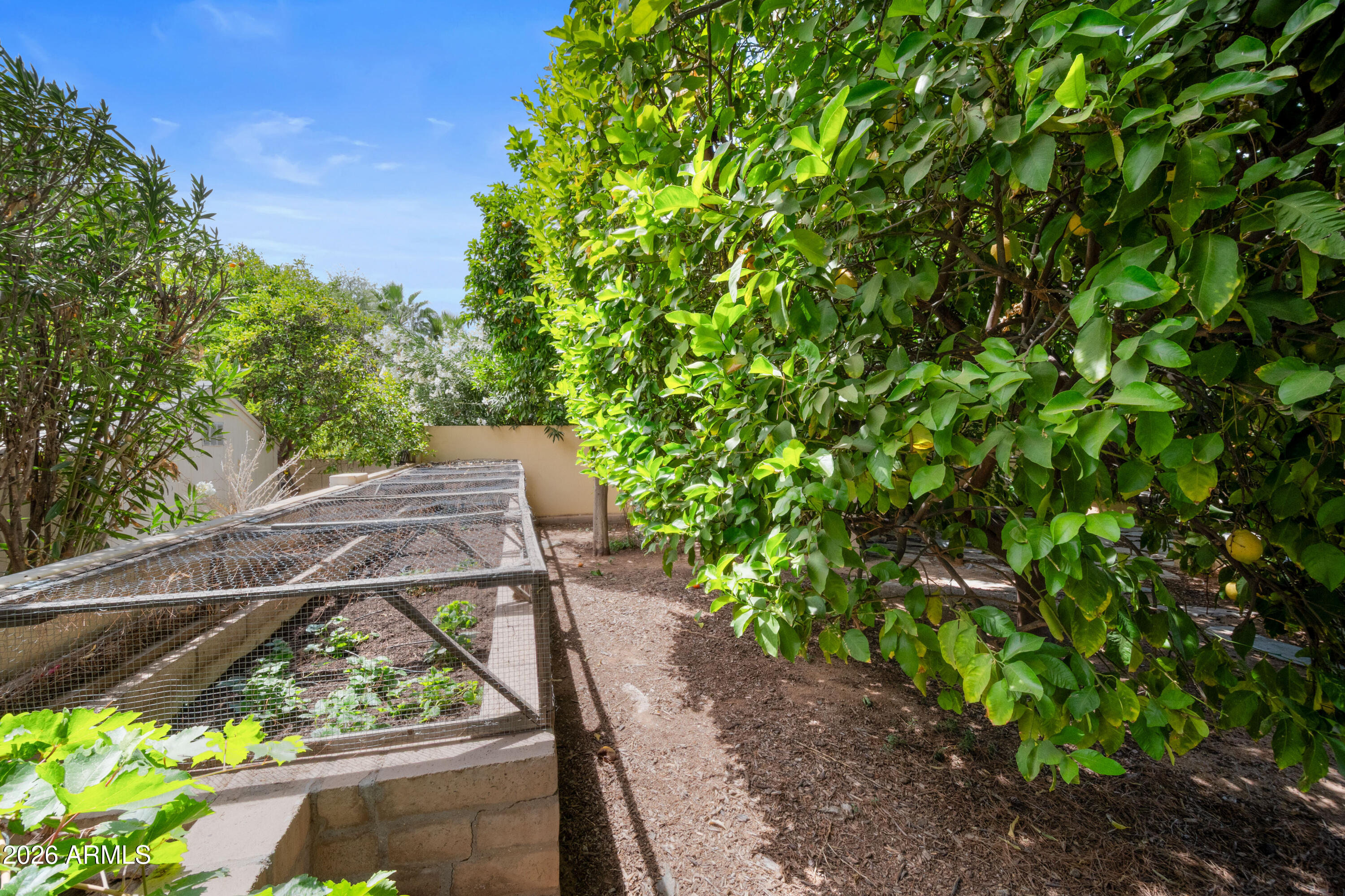 Paradise Park Trails - Residential