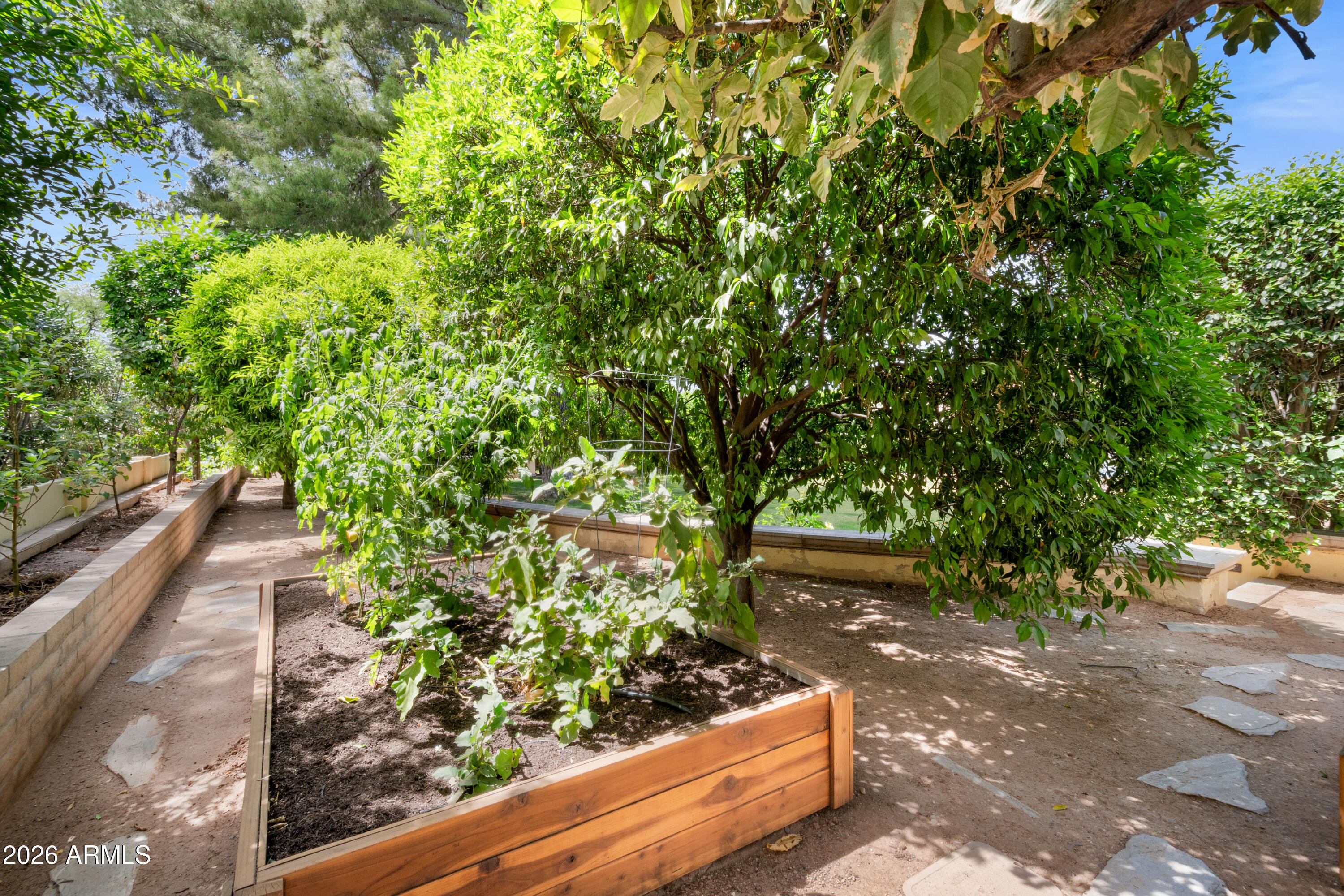 Paradise Park Trails - Residential