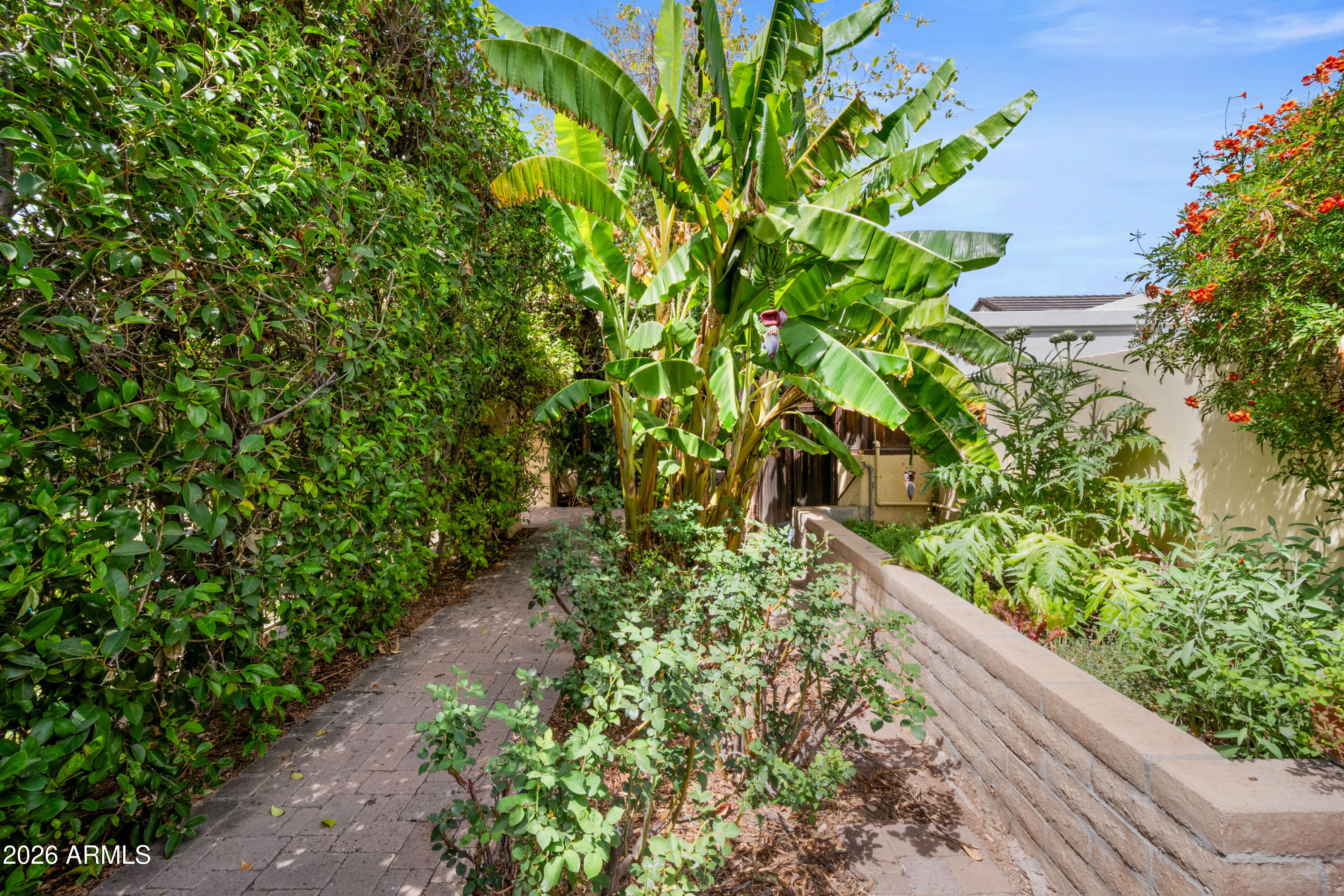 Paradise Park Trails - Residential