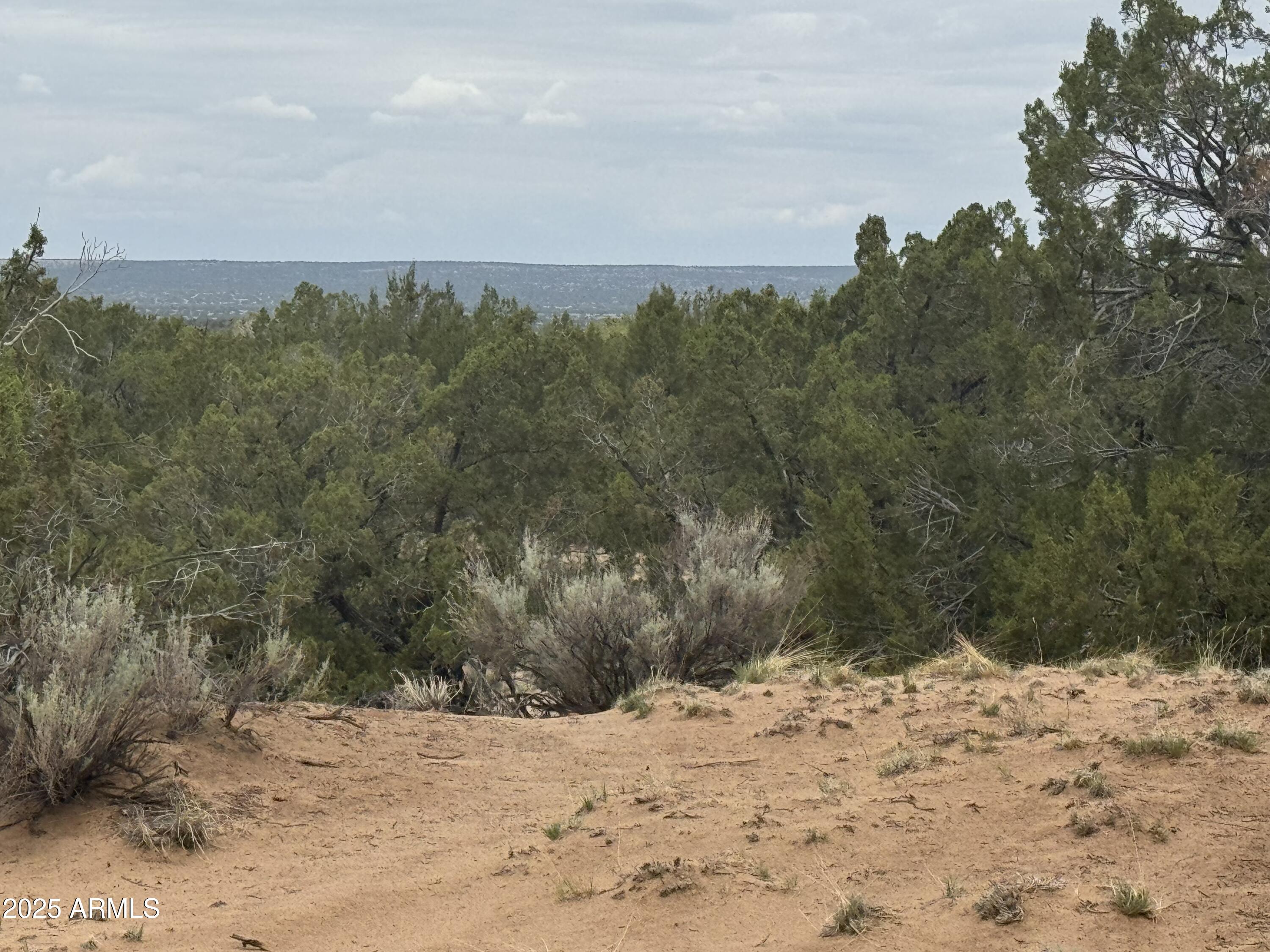 10 acres of Northern Arizona high country just off the highway, covered with naturally spaced juniper trees that offer privacy, beauty, and a sense of timeless stillness. This off-grid parcel is free of HOA restrictions and tucked far enough from town to feel secluded, yet close enough to stay connected when needed. Clean air, broad skies, and unspoiled views stretch in every direction, making this a perfect spot for a future cabin, a private basecamp, or long-term land holding. The trees give shape and character to the landscape without crowding it, letting light filter through and the breeze pass easily. A neighbor across the road has embraced the same terrain and loves it still--proof that for the right person, this land holds lasting value. No noise, no close neighbors, just room to