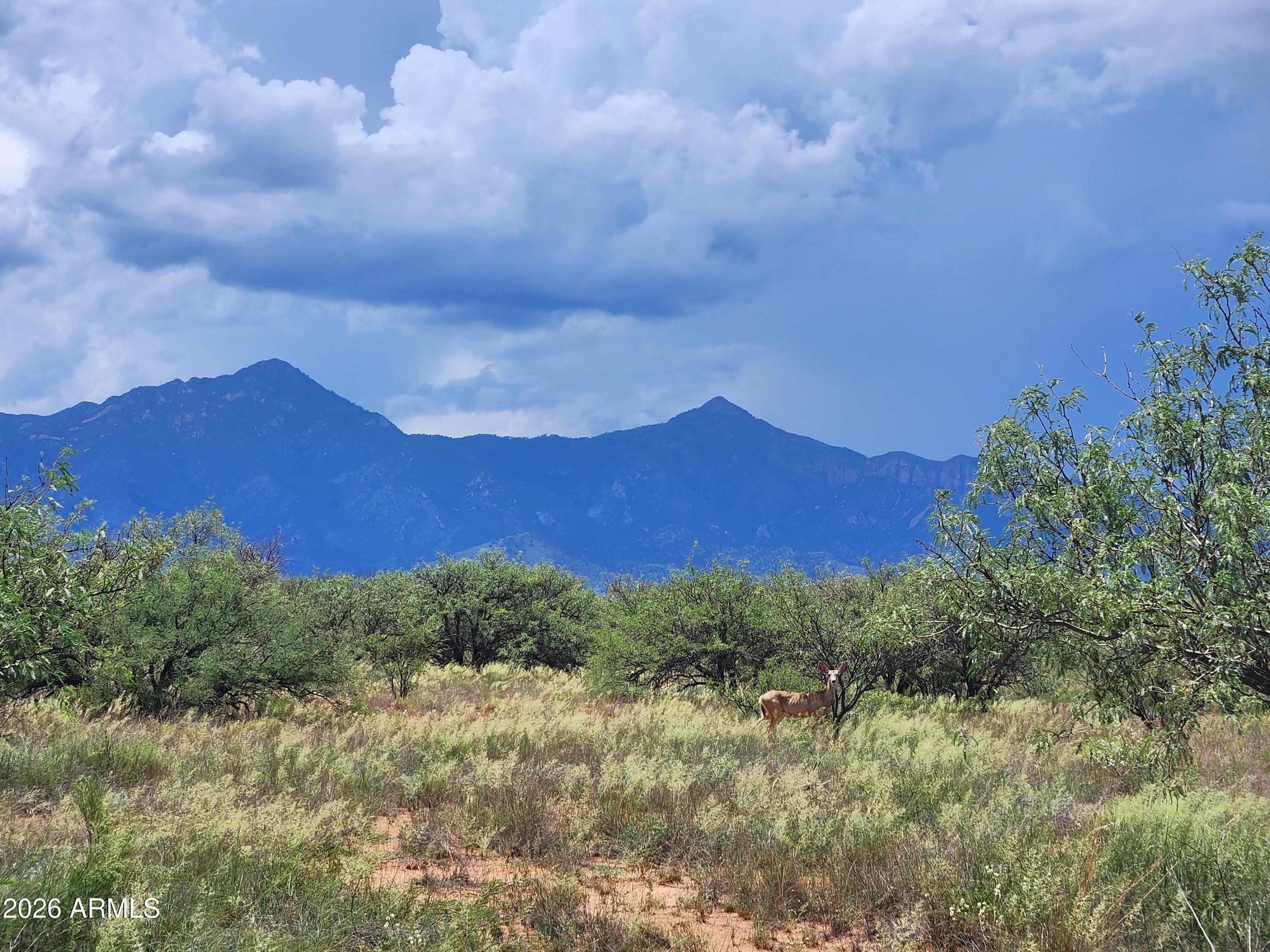 Three Canyons - Land