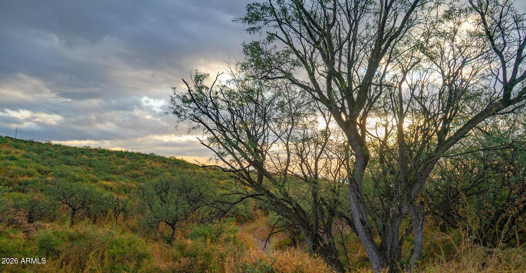 RIO RICO ESTATES 9 - Land