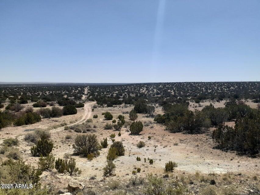 HIKING, STAR GAZING, WILDLIFE! It's a vibe...escape the concrete jungle of Phoenix. This is one of TWO adjacent lots for sale. Buy BOTH, 20.7 acres total, for $34,000. Gorgeous, accessible, sun-dappled natural terrain gently sloping with views all around. This property has numerous flat areas for building. Many gorgeous Junipers and Pinyon pines. Miles of scenic hiking, off-roading and exploring. Check out jackrabbits, coyotes, antelope, deer, elk, a bobcat or owls at night. Bring your toys or horses - wide open spaces lead to endless possibilities on your own land! Solar or wind for power makes this the ultimate off-grid destination for anyone! Dip into historical Winslow or Heber for a bite, a drink or supplies. Enjoy the freedom of the open outdoors, no HOA!