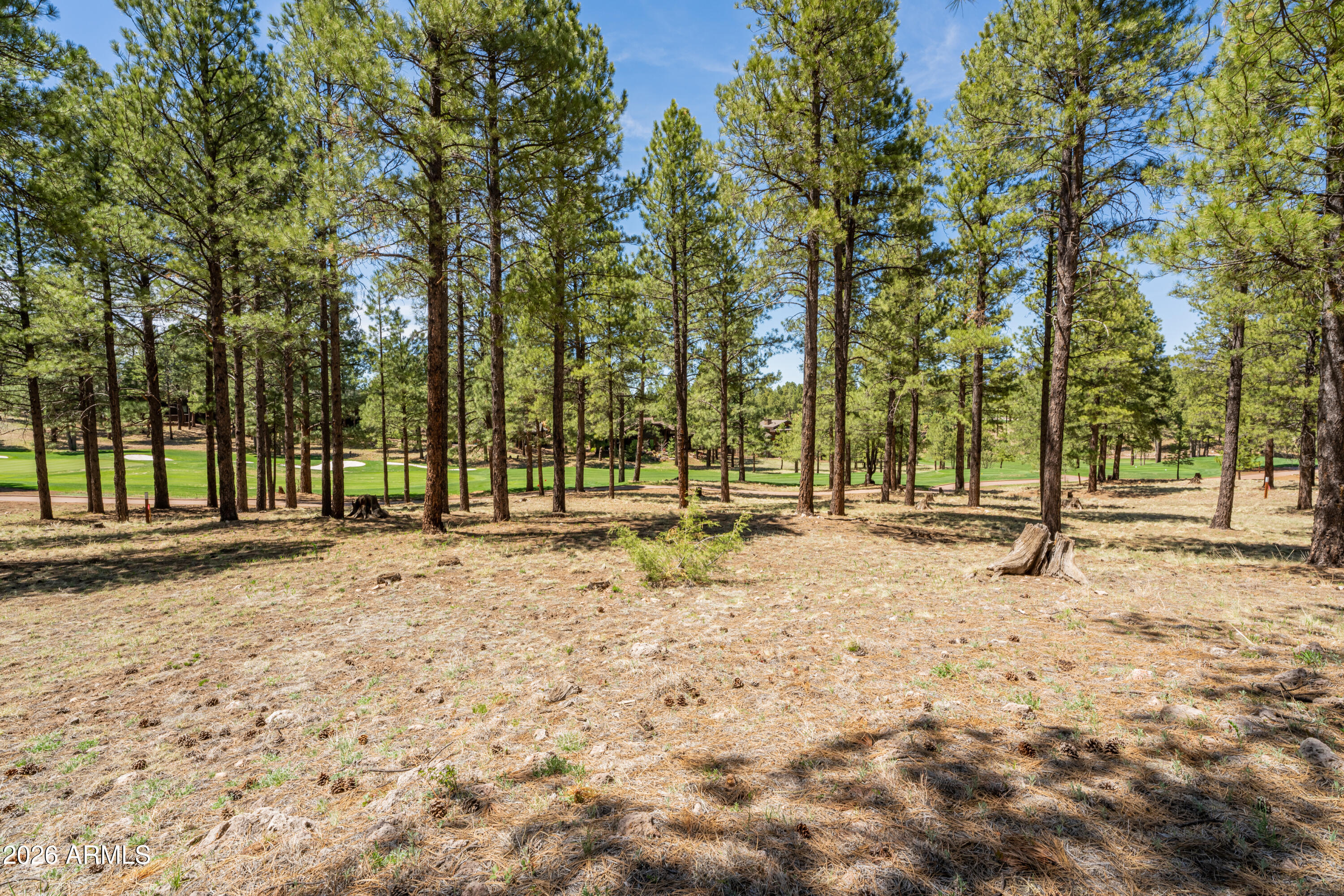 Pine Canyon - Land