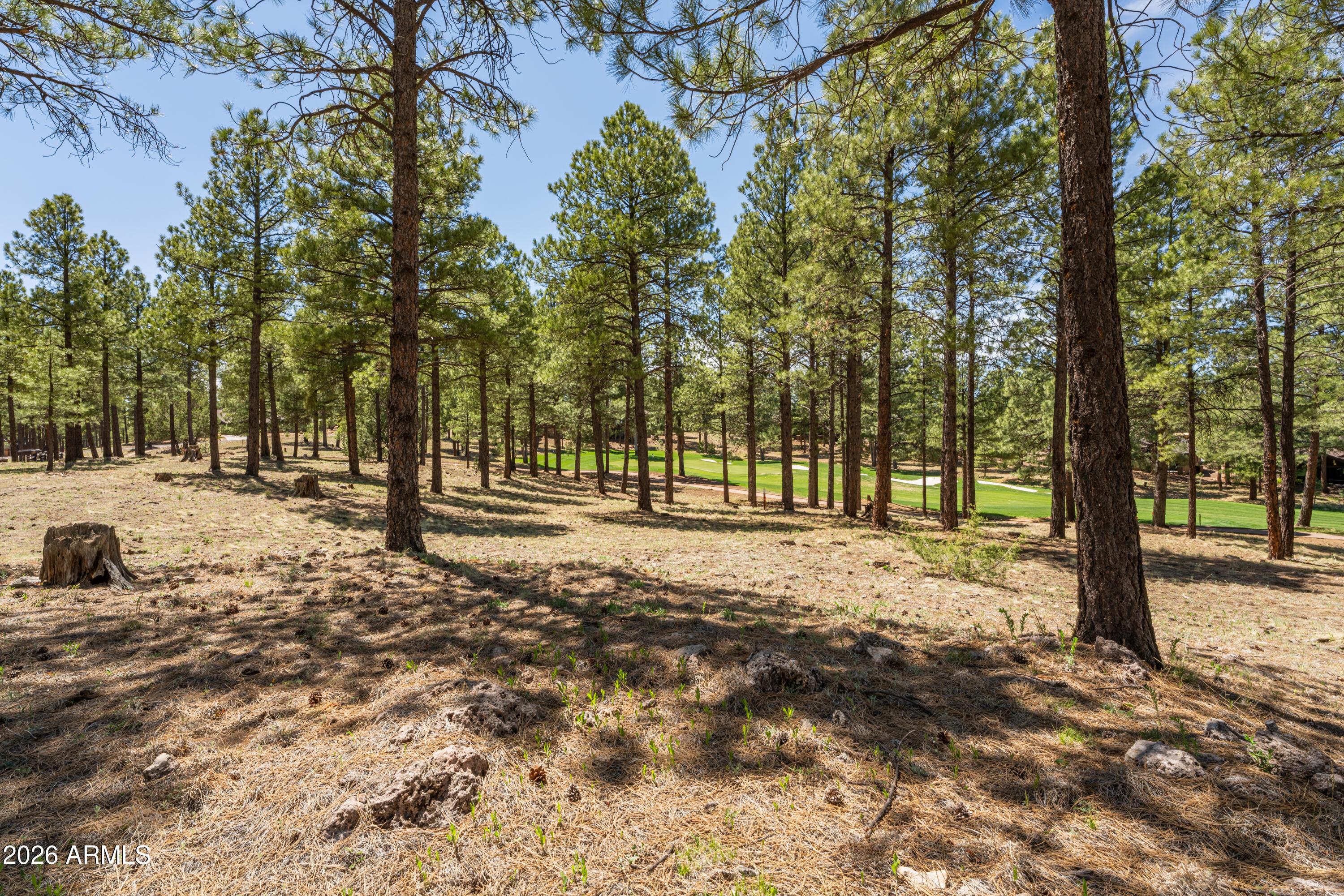 Pine Canyon - Land