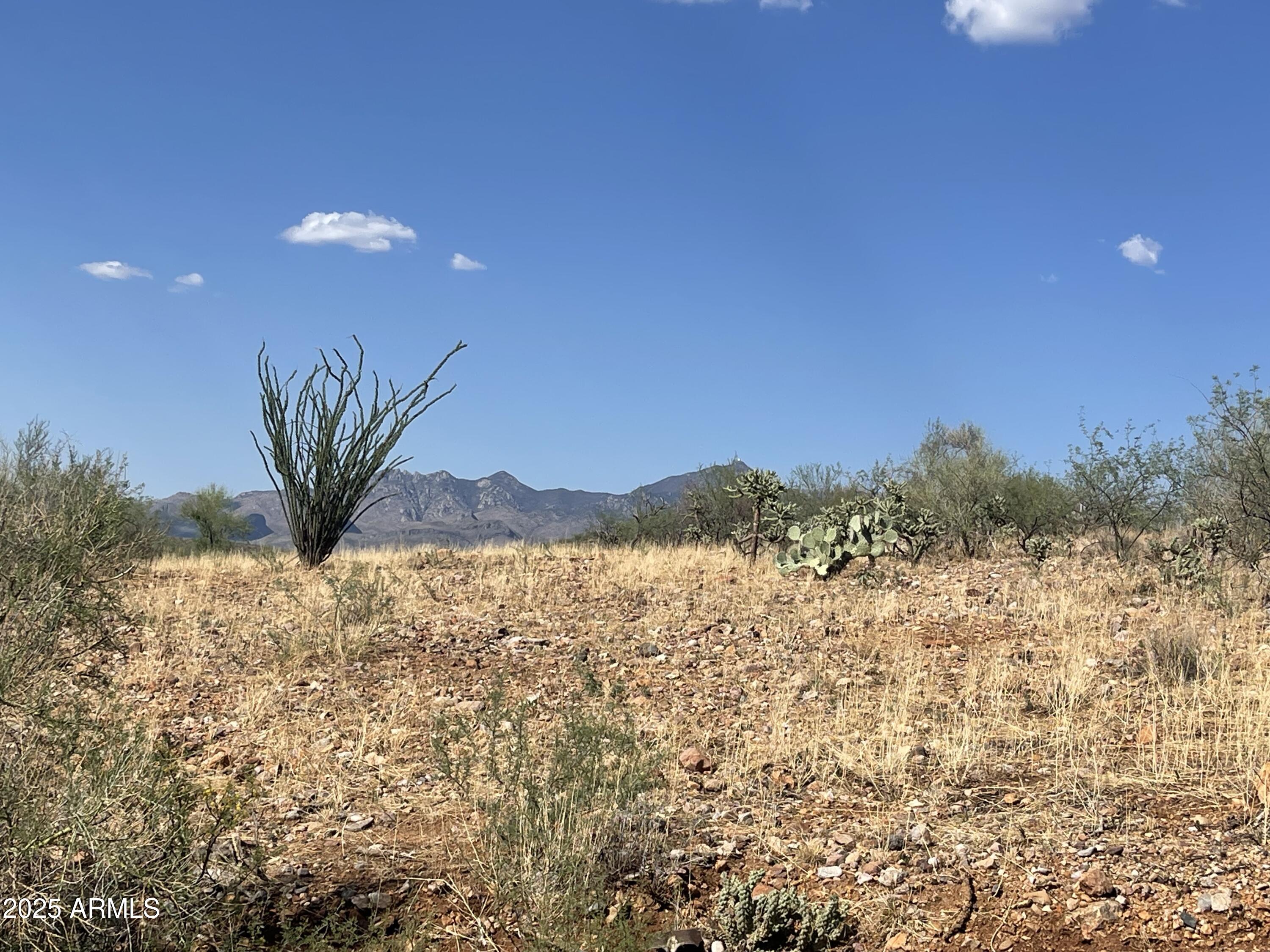 Build your dream home on this serene desert surrounded by breathtaking views of the nearby mountain ranges.    Nearly 4 acres (3.49) of land with desirable 360-degree views on a paved road.  This property has electricity nearby, making it easier to develop.   Just minutes away from shopping, the interstate, and restaurants. **Adjoining property is for sale -50 Calle Dinamarca-3.19 acre parcel. Purchase both for a total of 6.68 acres of land**) Don't miss out on owning a piece of Arizona today!
