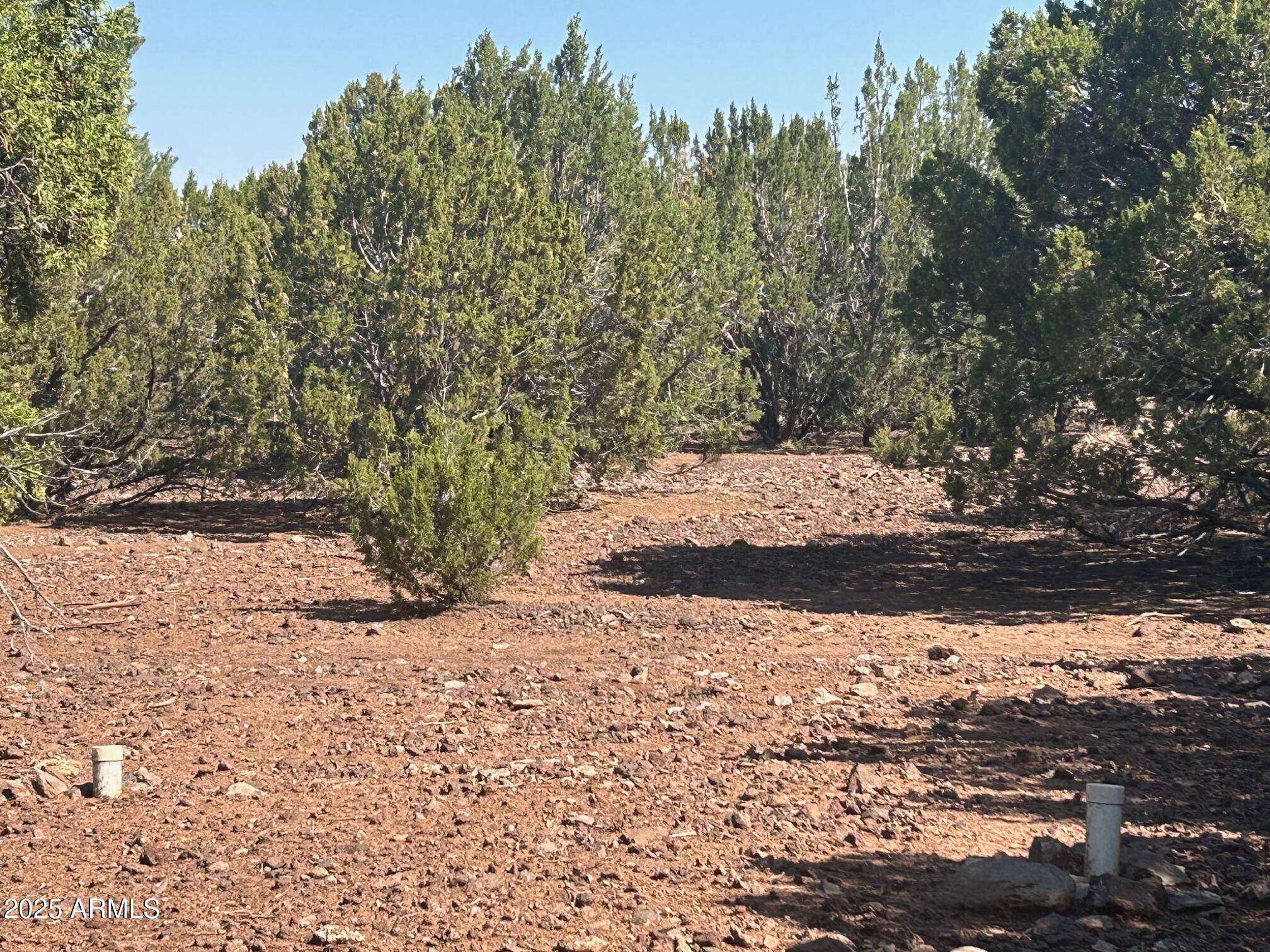 MOUNTAIN PINE RANCH UNIT 1 - Land