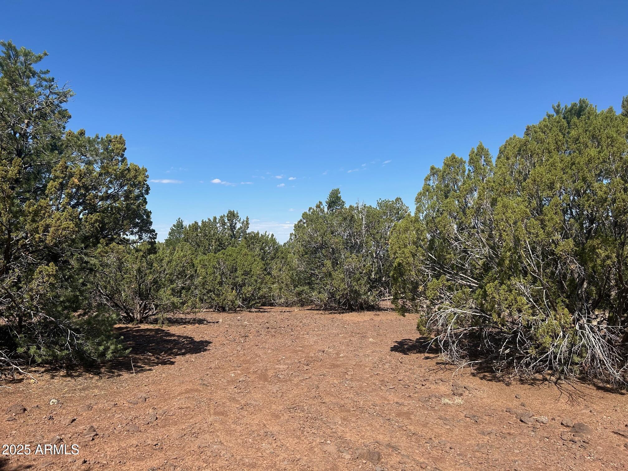 MOUNTAIN PINE RANCH UNIT 1 - Land