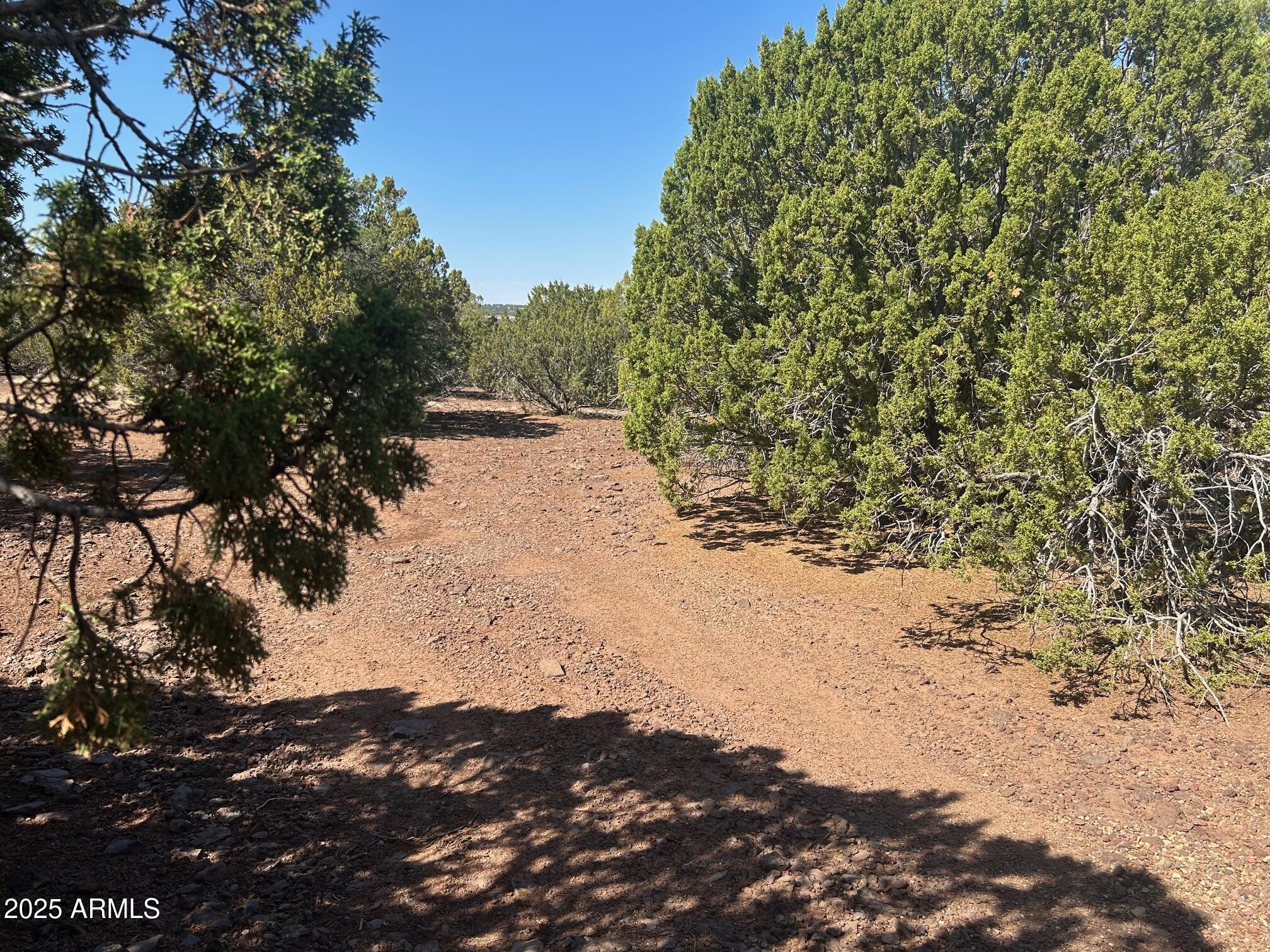 MOUNTAIN PINE RANCH UNIT 1 - Land