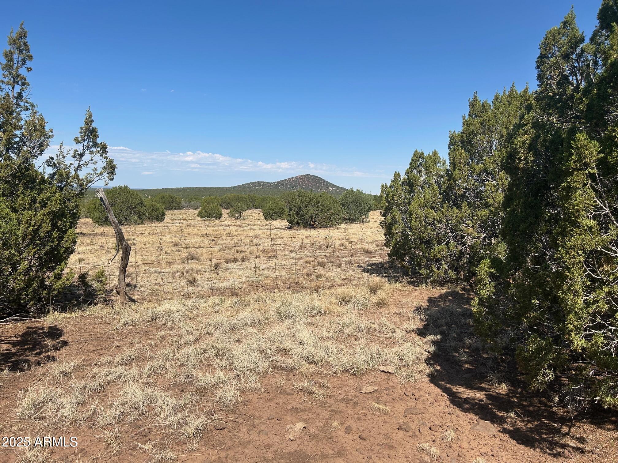 MOUNTAIN PINE RANCH UNIT 1 - Land