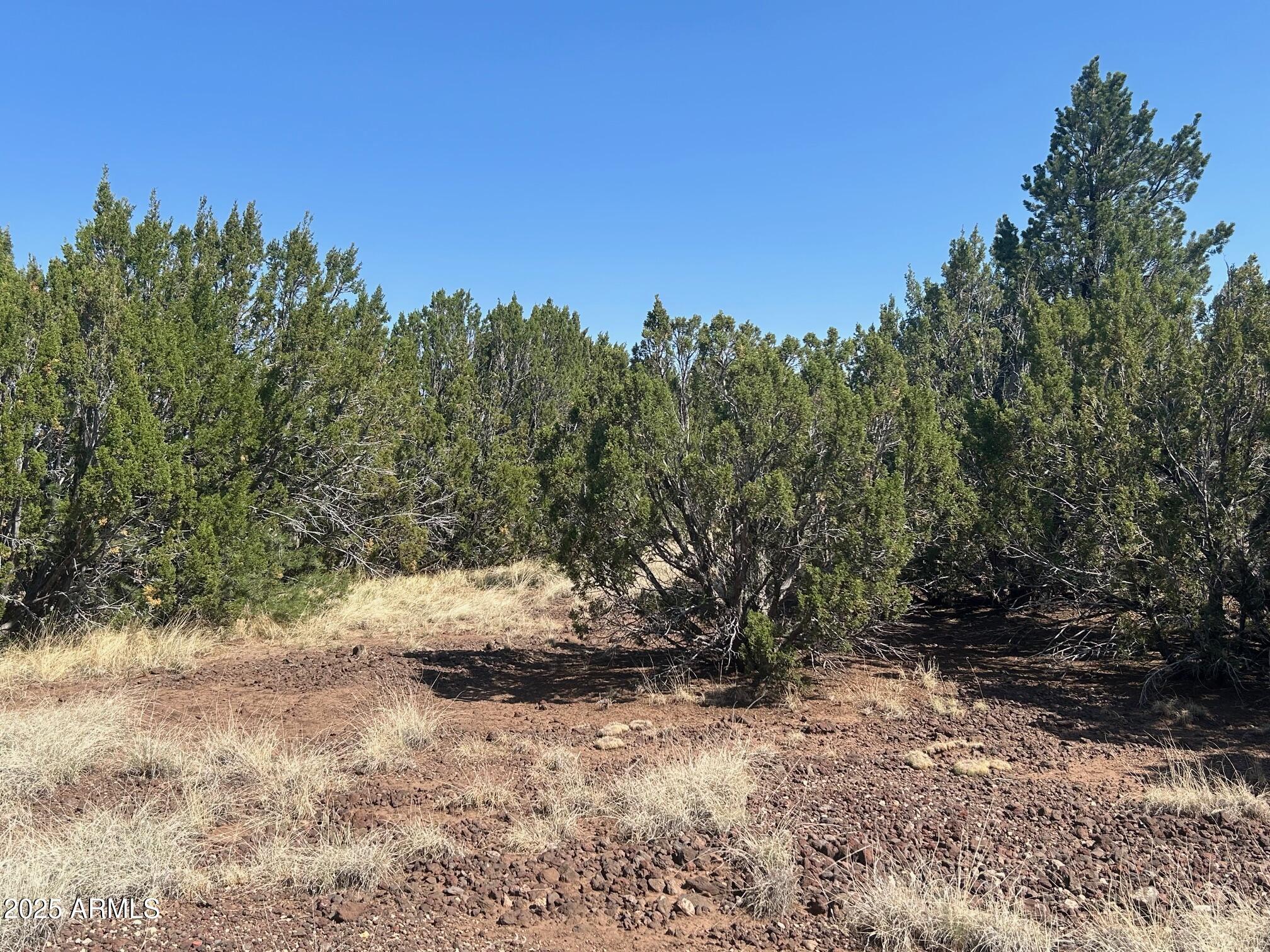 MOUNTAIN PINE RANCH UNIT 1 - Land