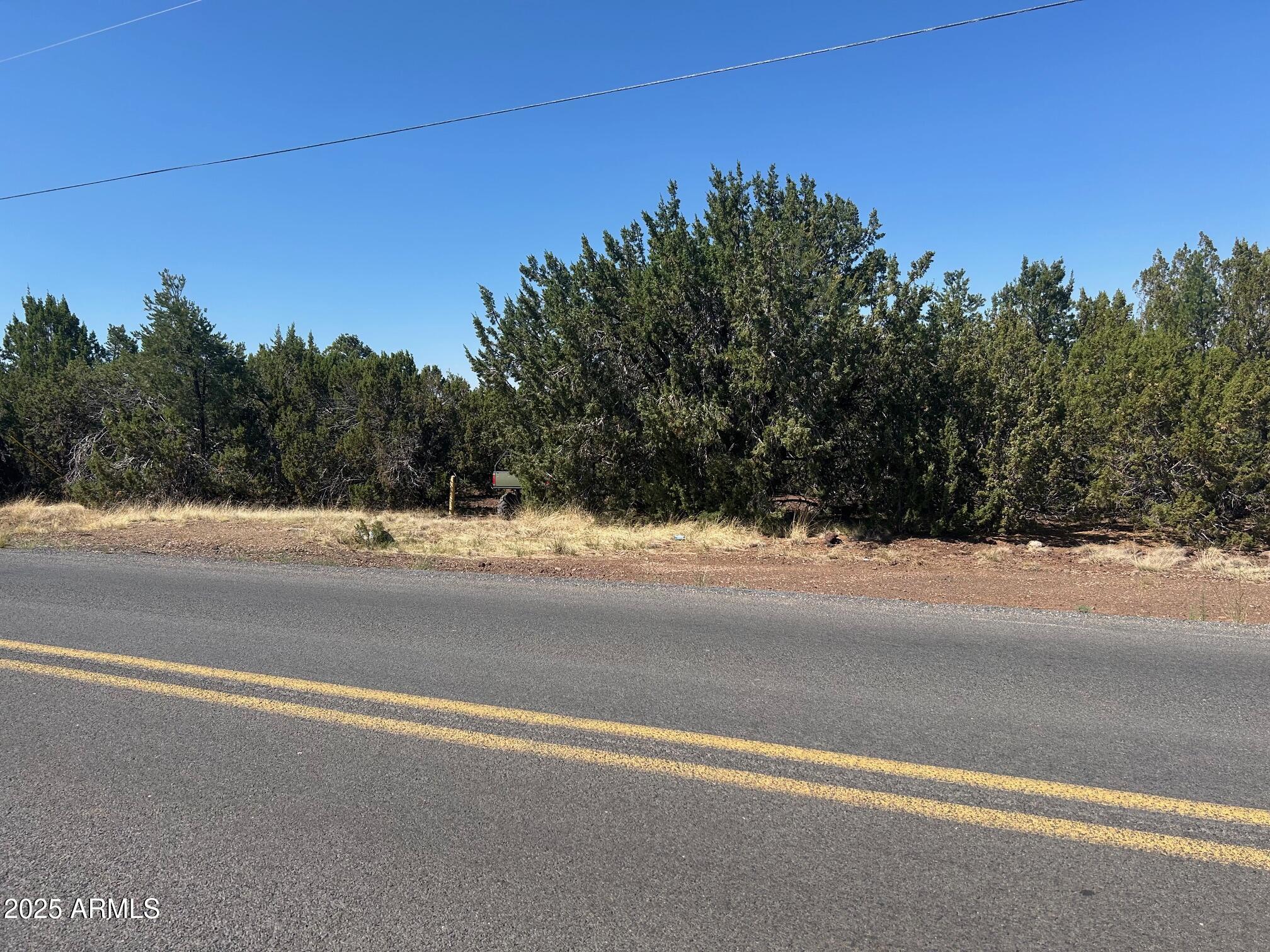 MOUNTAIN PINE RANCH UNIT 1 - Land