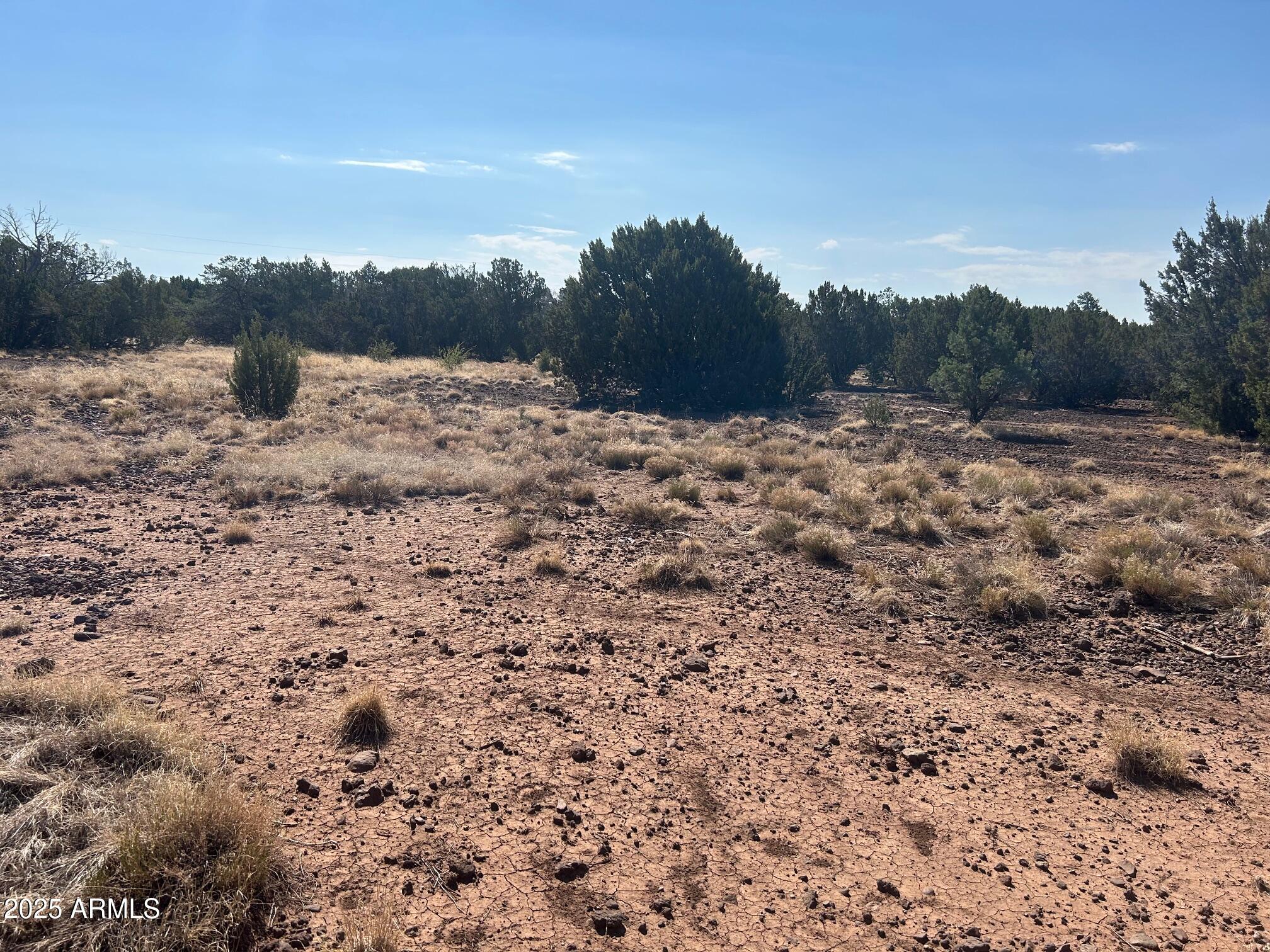 MOUNTAIN PINE RANCH UNIT 1 - Land