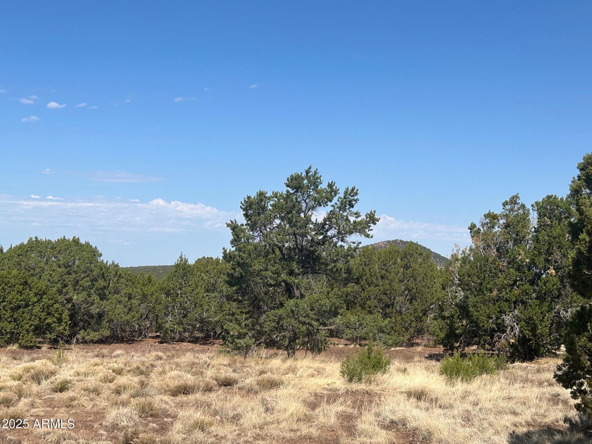 MOUNTAIN PINE RANCH UNIT 1 - Land