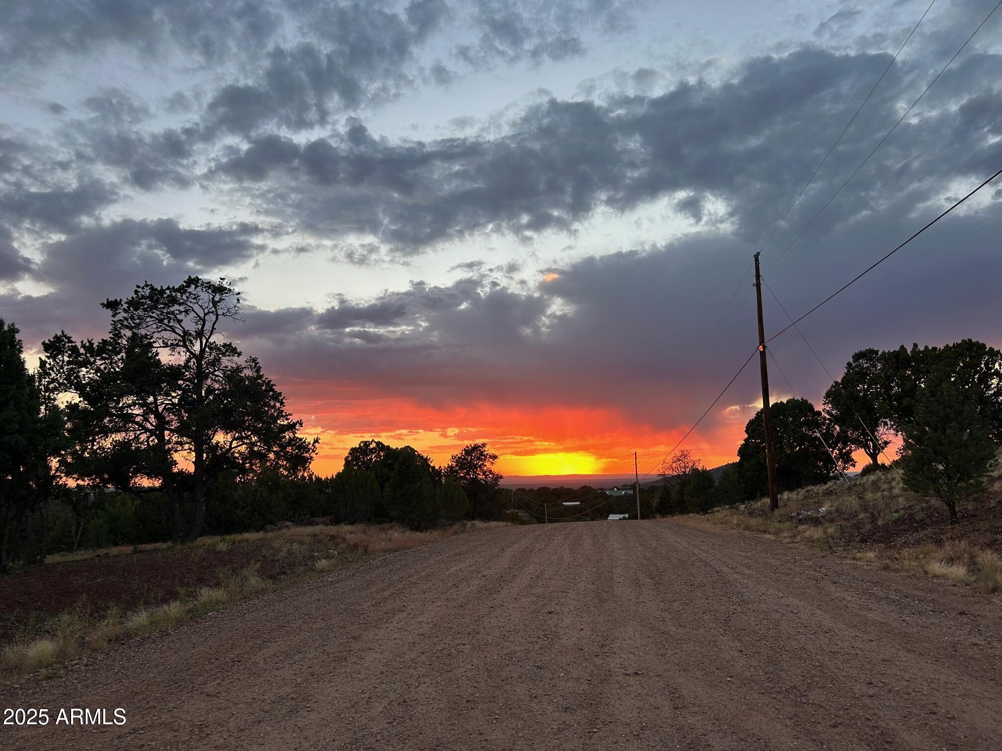 MOUNTAIN PINE RANCH UNIT 1 - Land