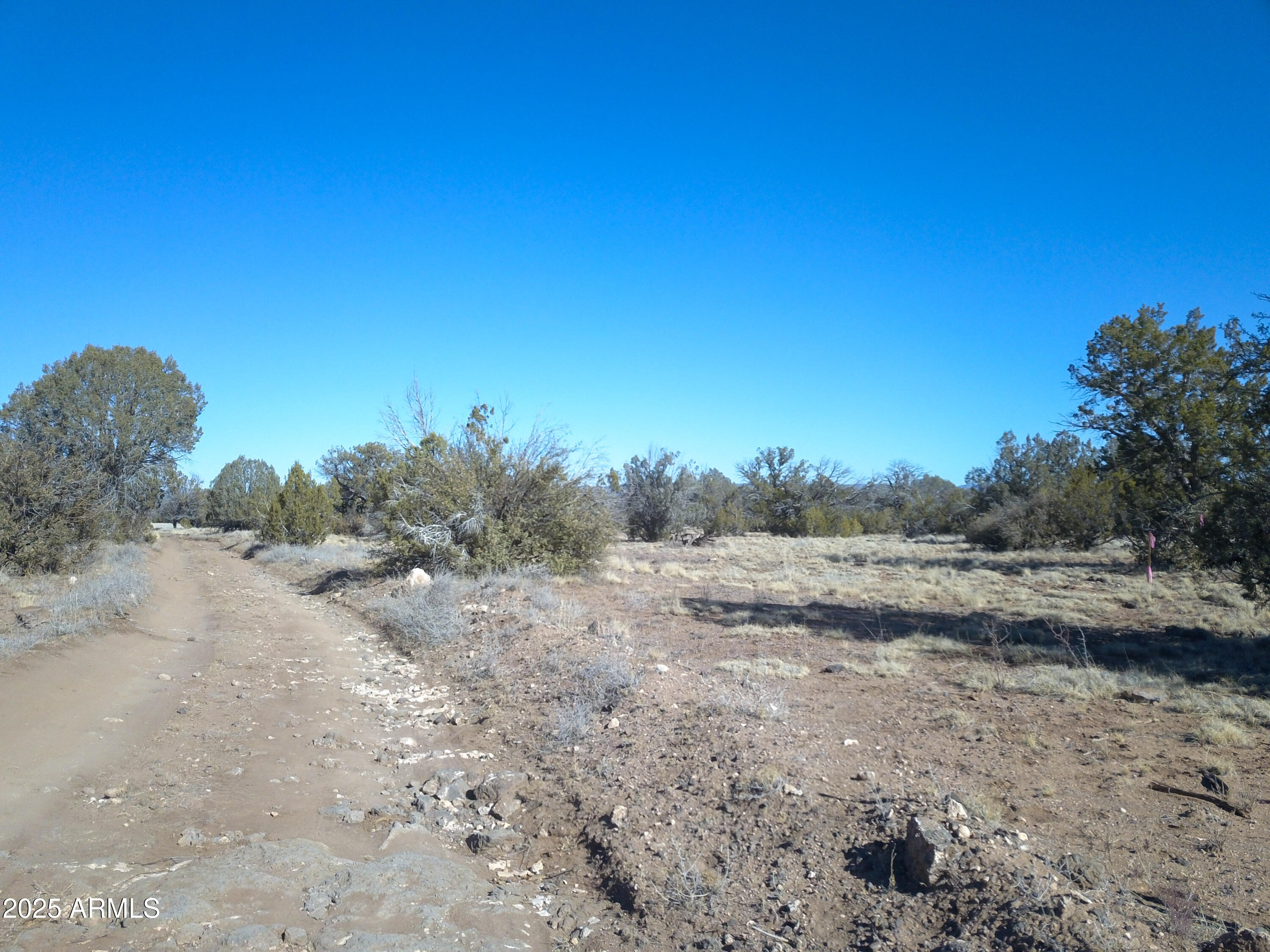 Beautiful, flat, open 40+ acre parcel available for your off grid home, or camping paradise.  Less that 5 miles into the subdivision. All wheel or 4 wheel drive is recommended, roads are graded dirt.