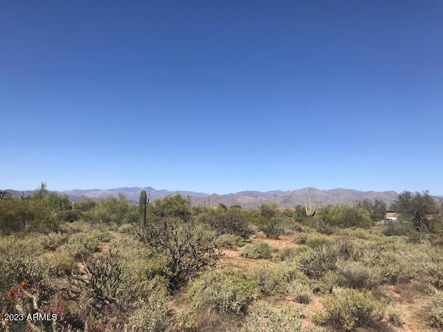 W146.69' of the S297.03' of N1/
2SE1/4SW1/4, Section 35, T5N, R6E - Land