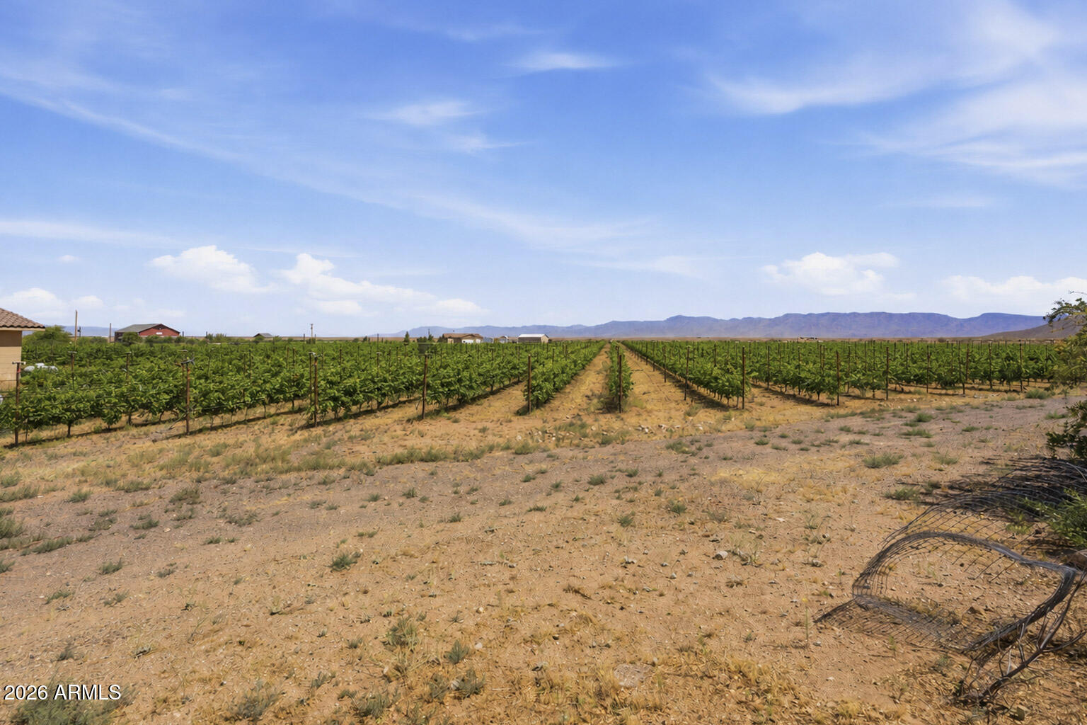 Mountain Vista Ranches - Residential
