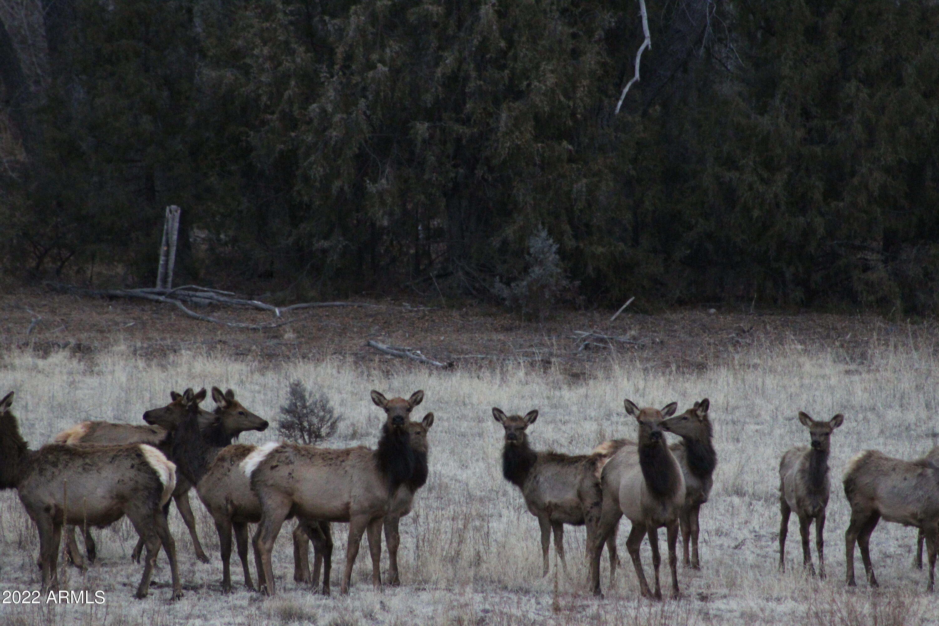 None - Residential