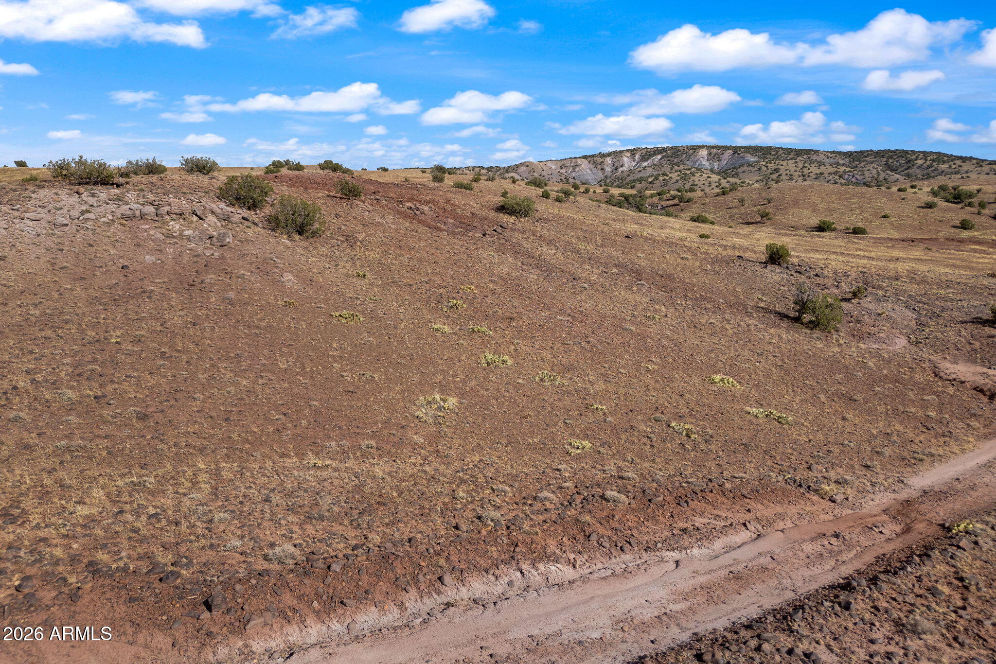 RANCH OF THE WHITE MOUNTAINS UNIT 28 - Land