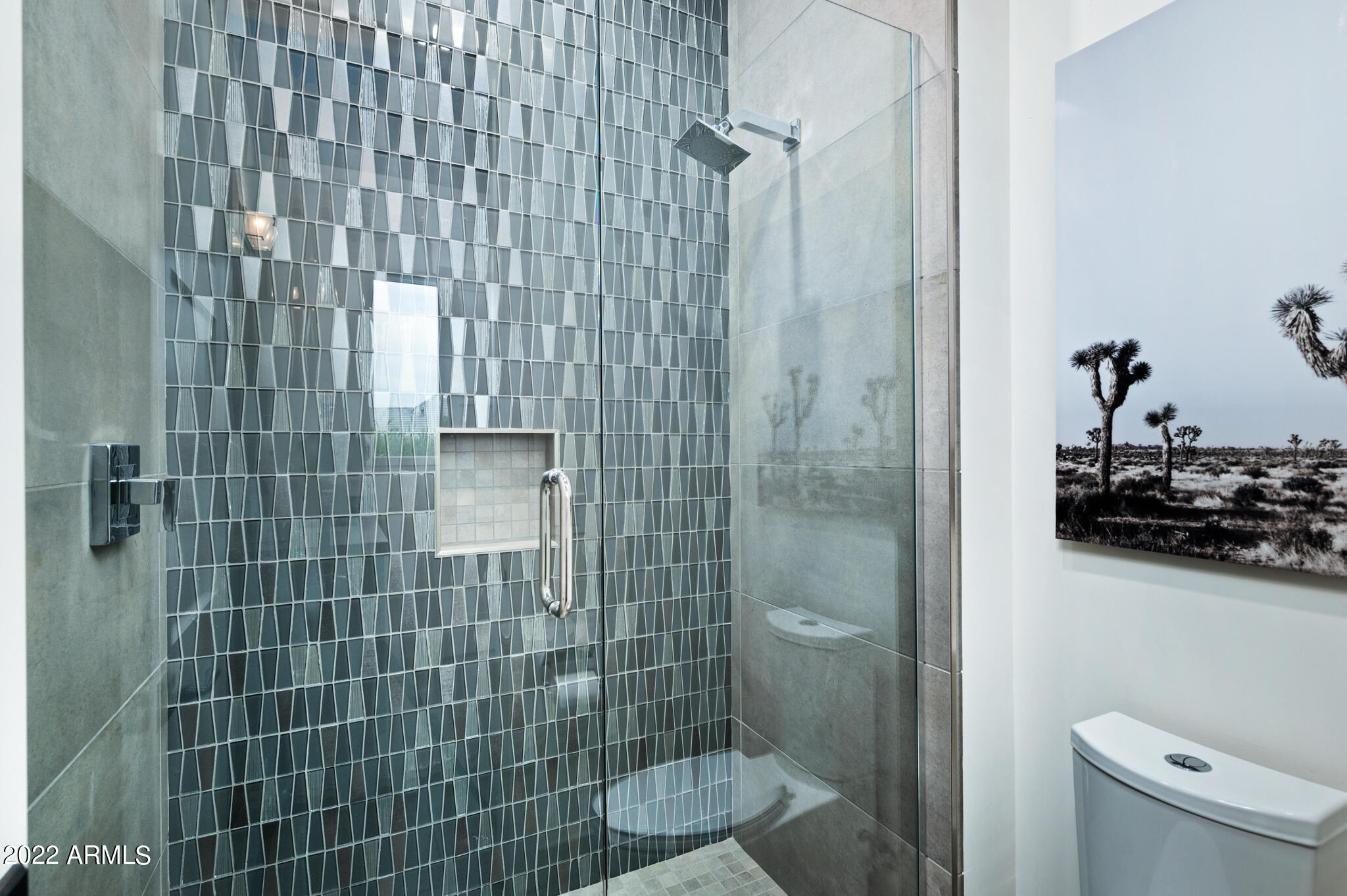 TRILOGY AT VERDE RIVER - Residential