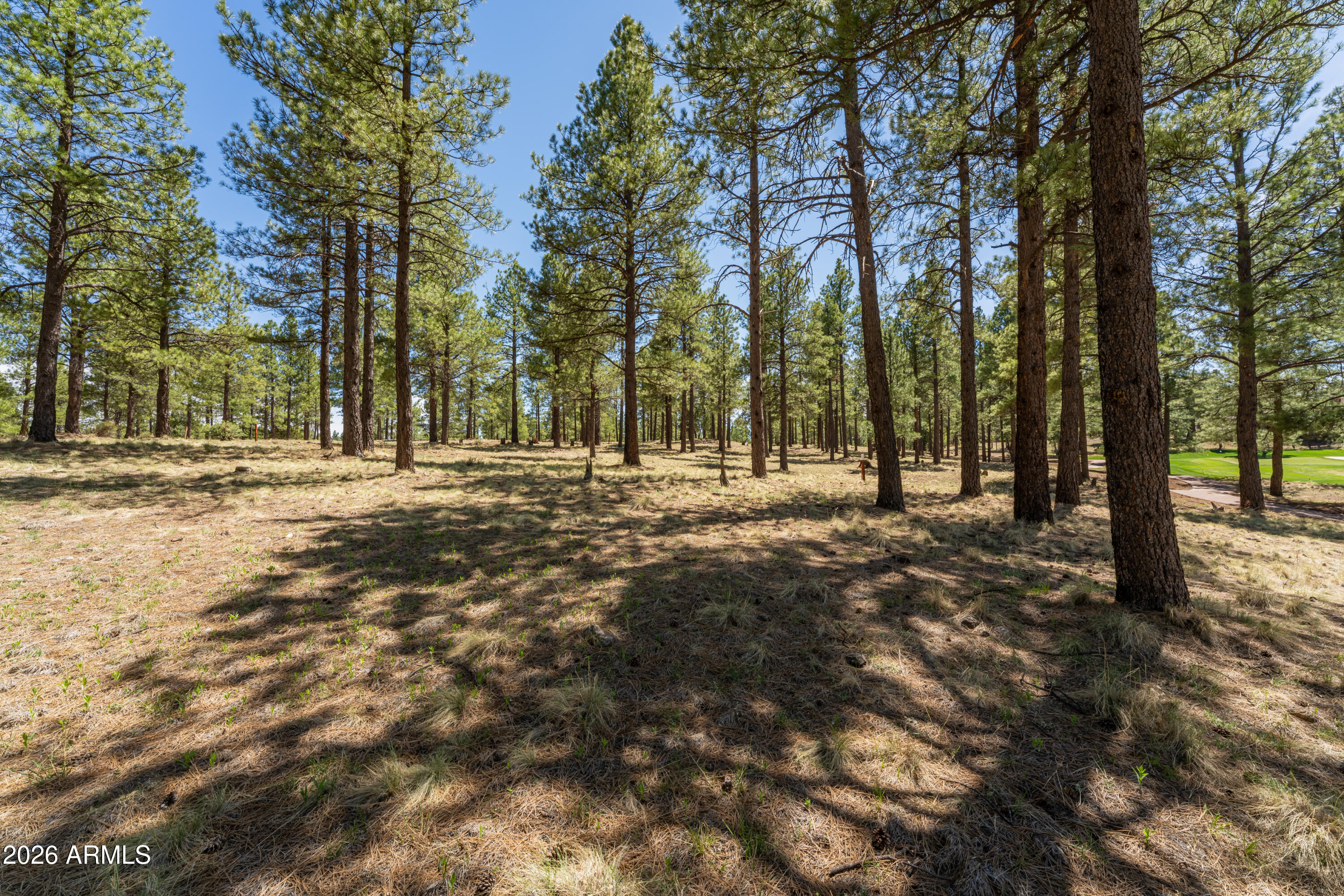 Pine Canyon - Land