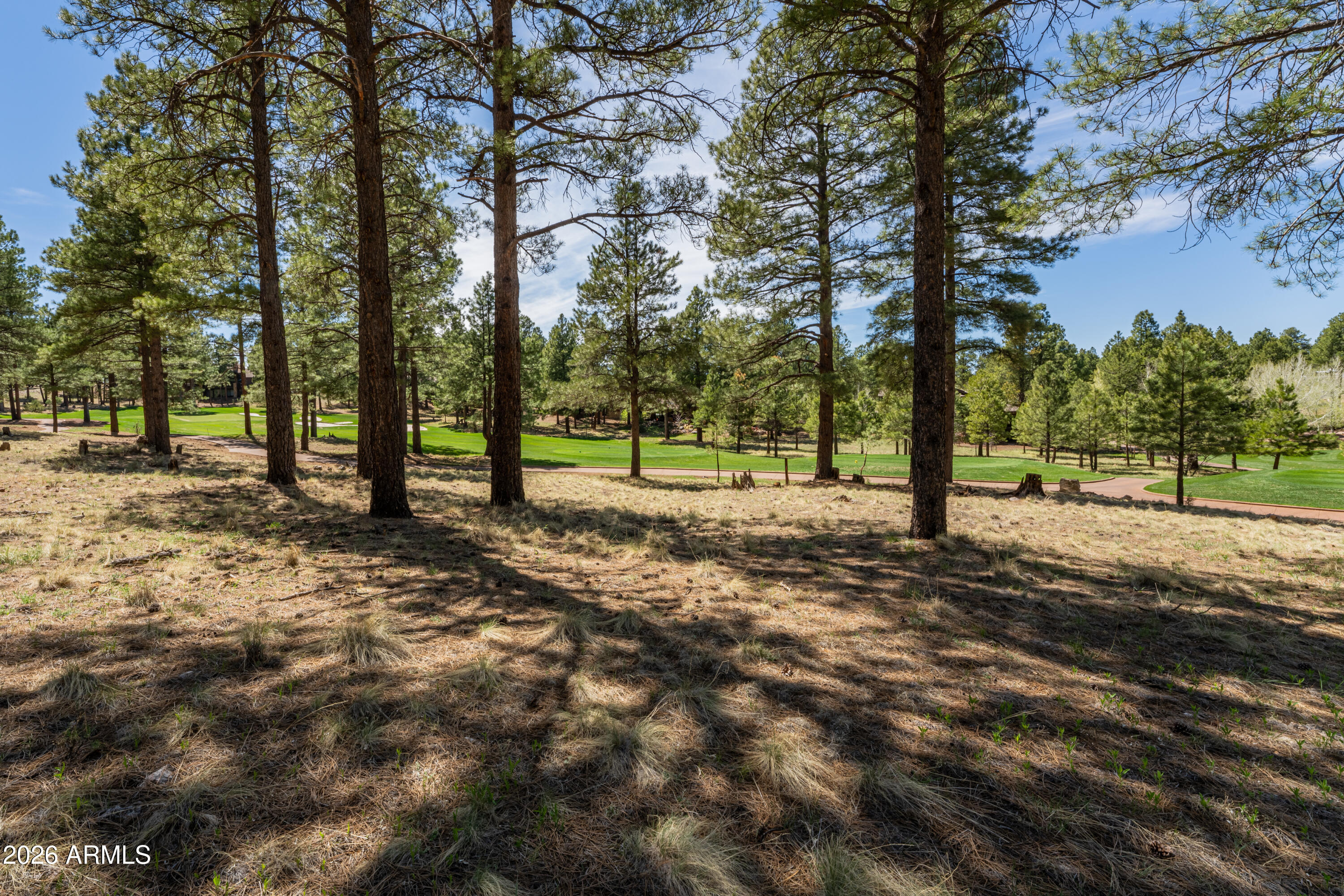 Pine Canyon - Land