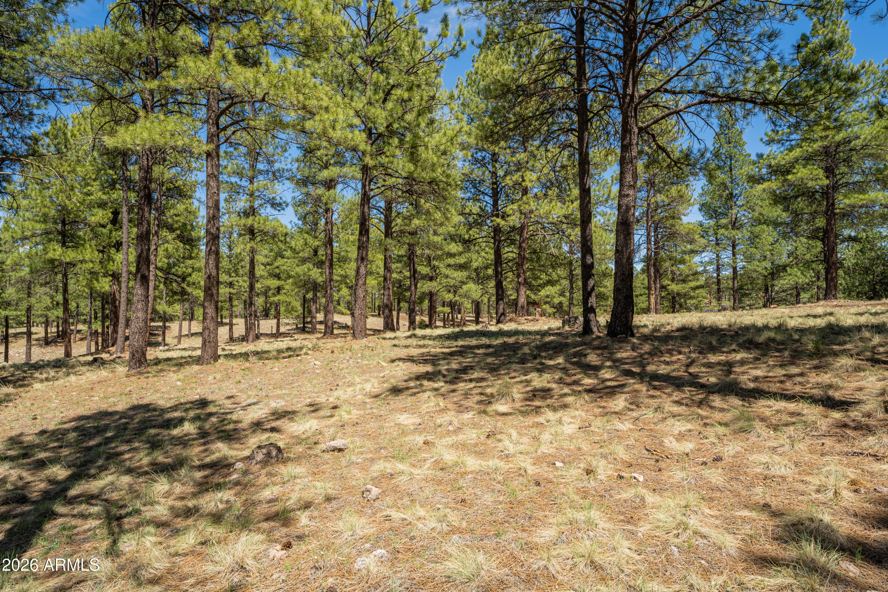 Pine Canyon - Land