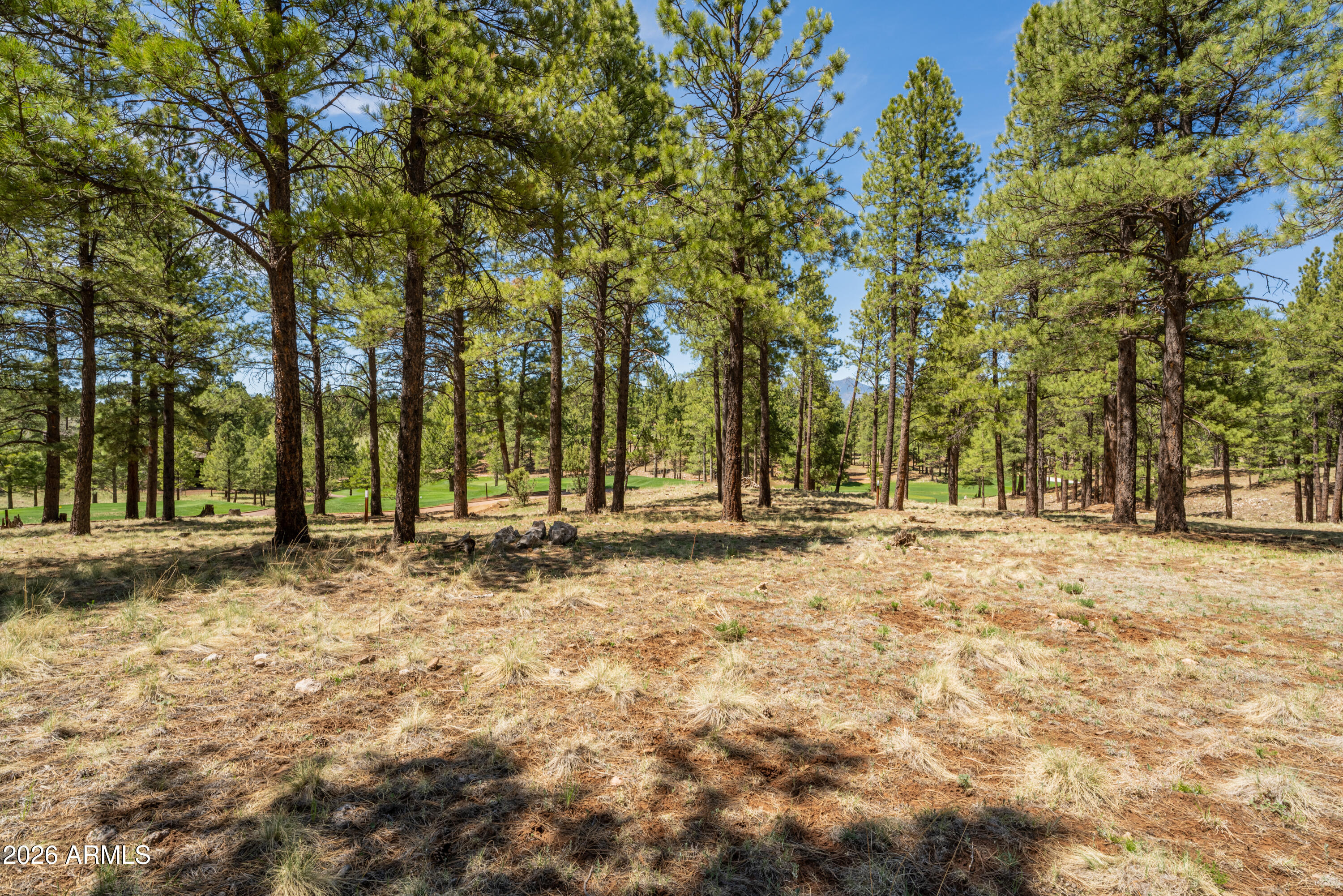 Pine Canyon - Land