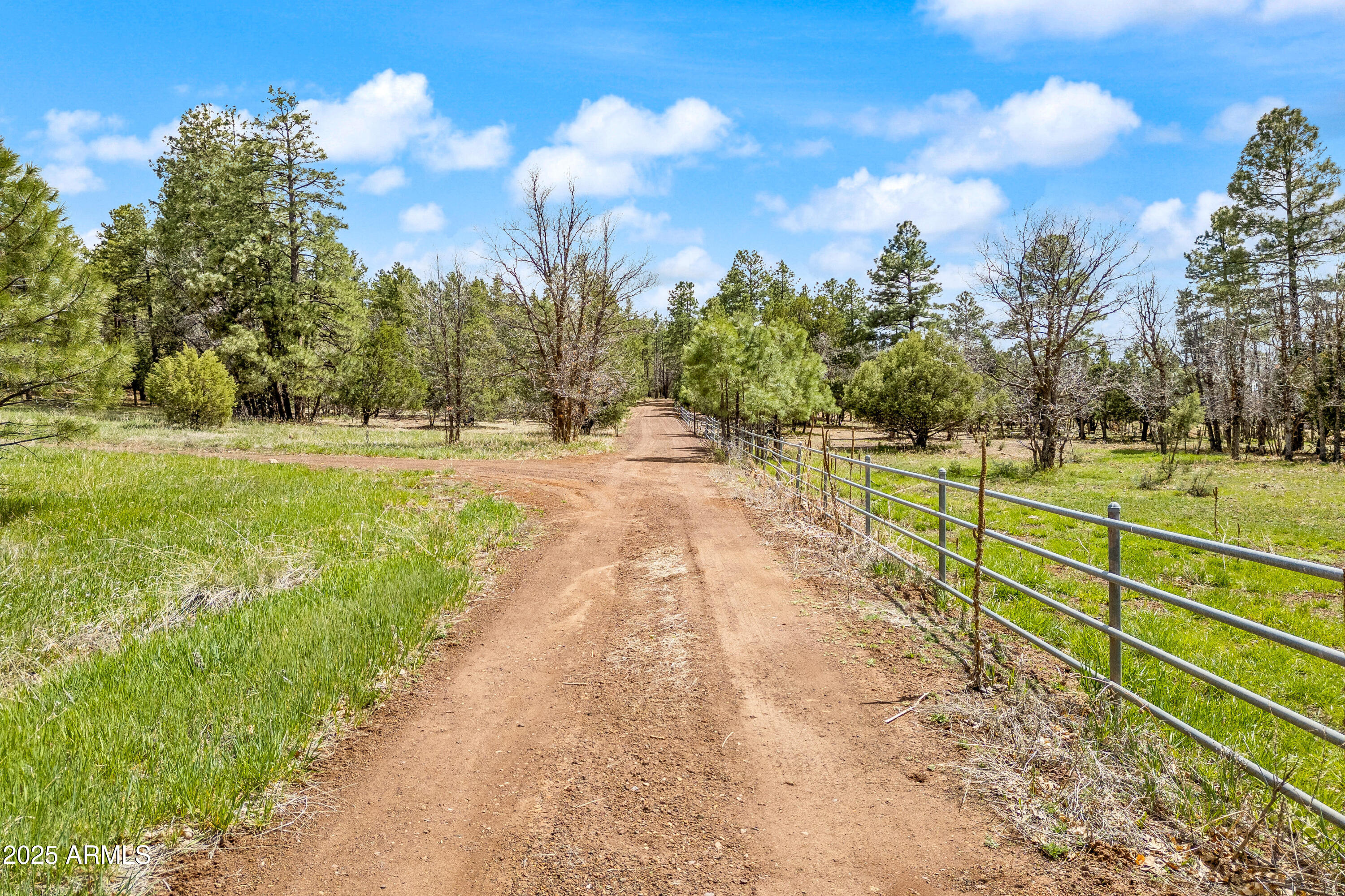 Pinetop unsubdivided. - Land