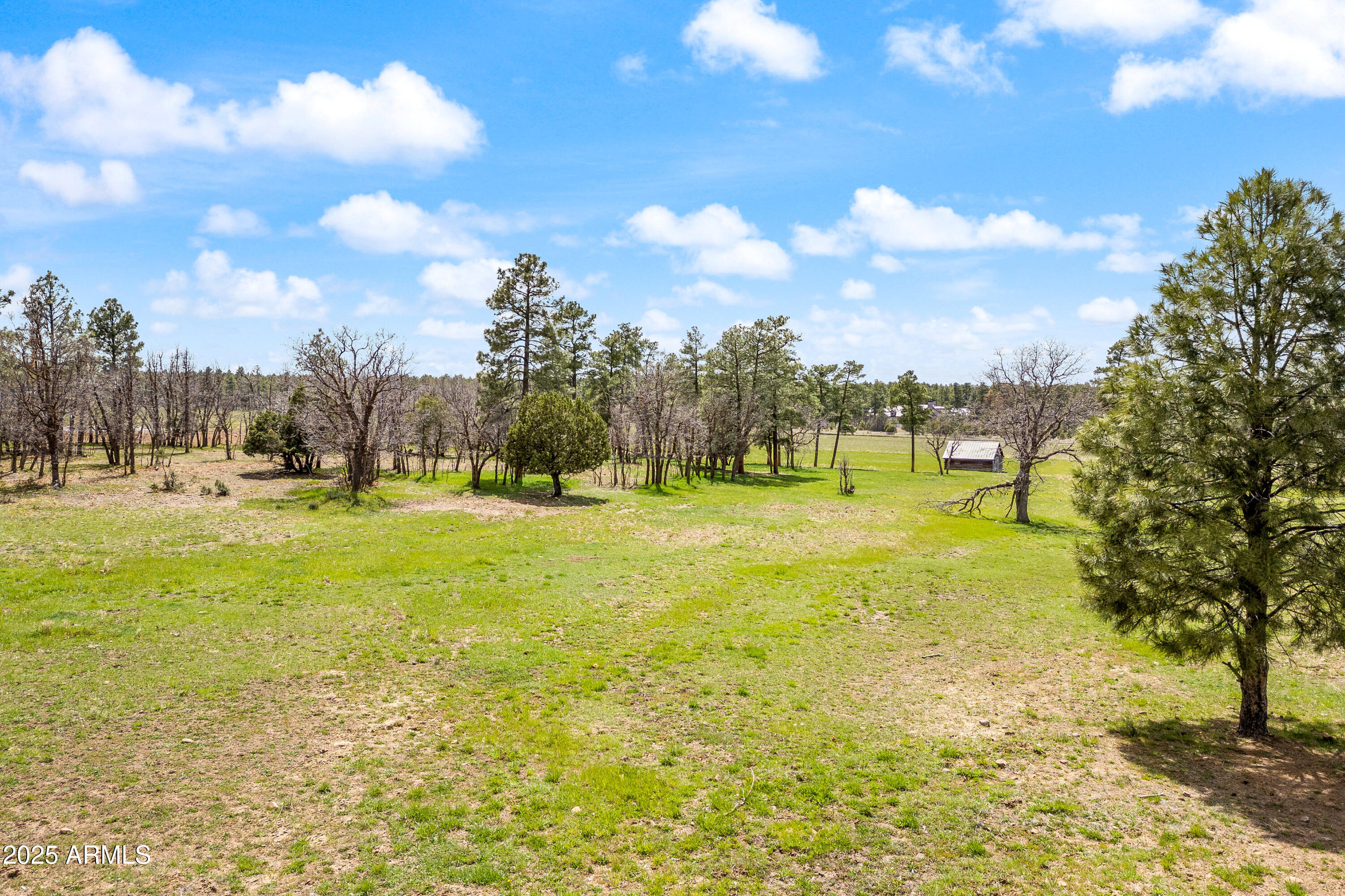 Pinetop unsubdivided. - Land