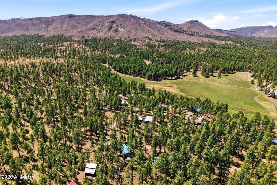 ALPINE COUNTRY CLUB ESTATES - Residential