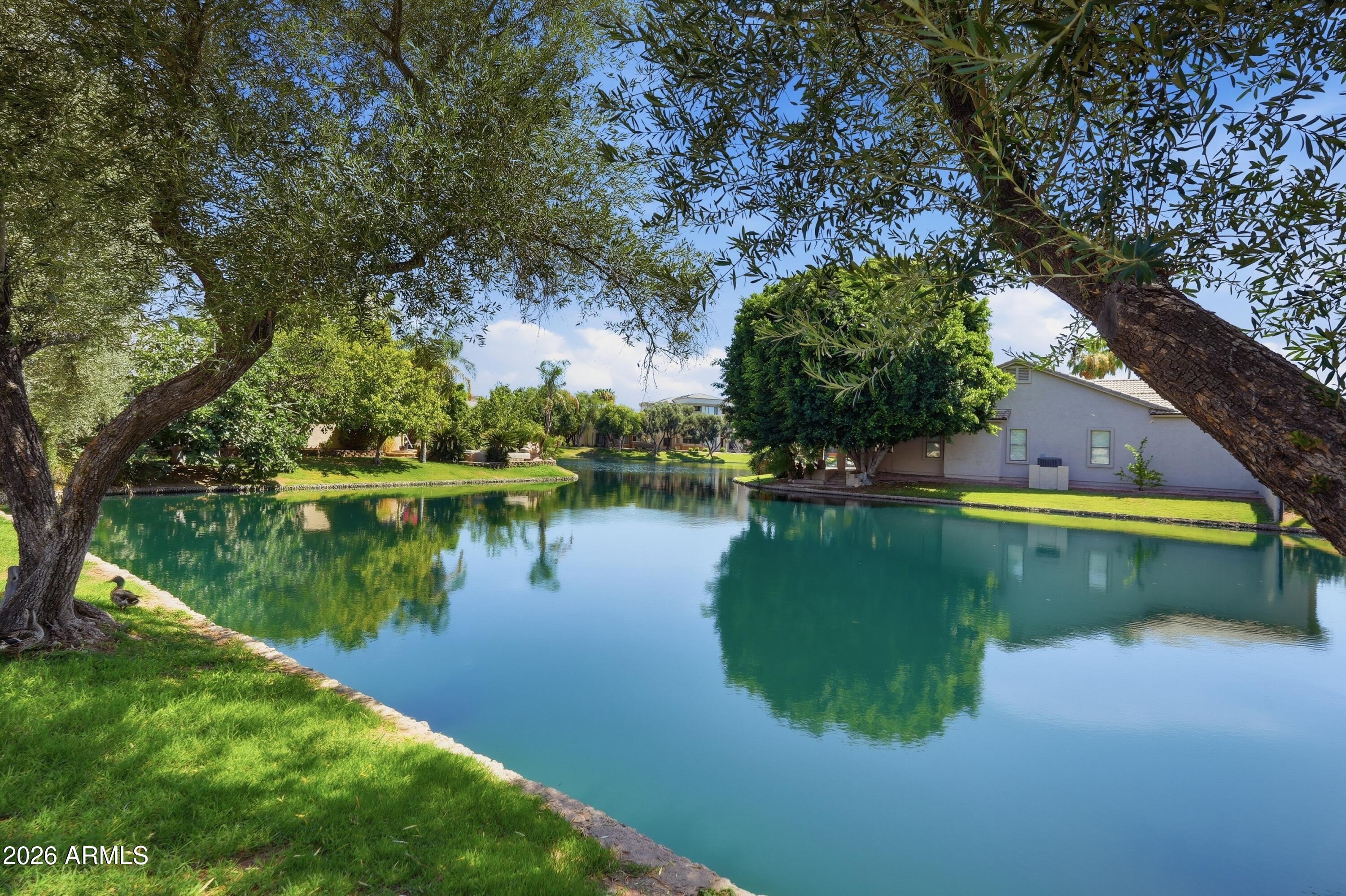 OCOTILLO LAKES - Residential