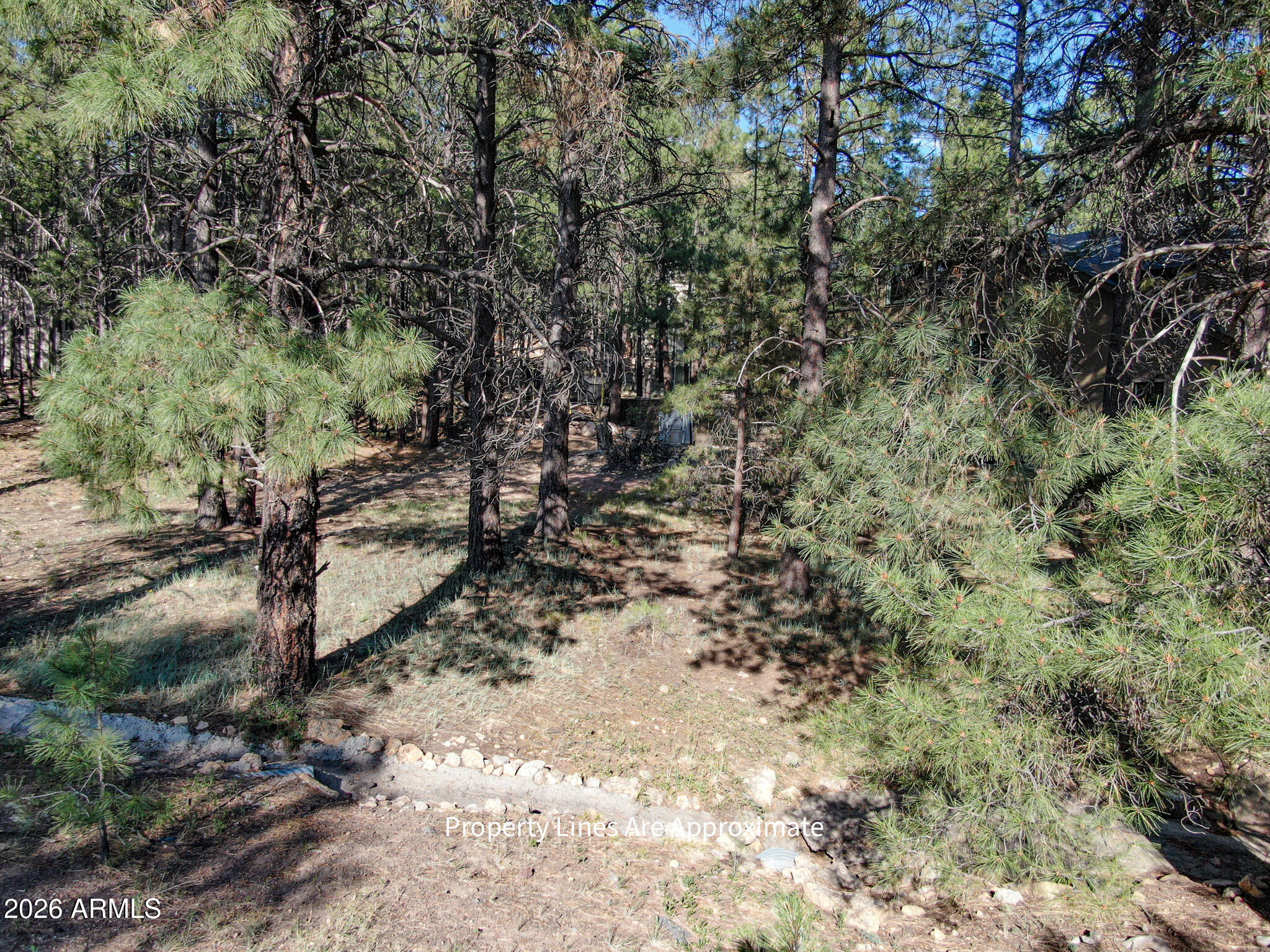 Evergreen Lot 42 Sixteenth: SW Quarter: SW Section: 18 Township: 21N - Land