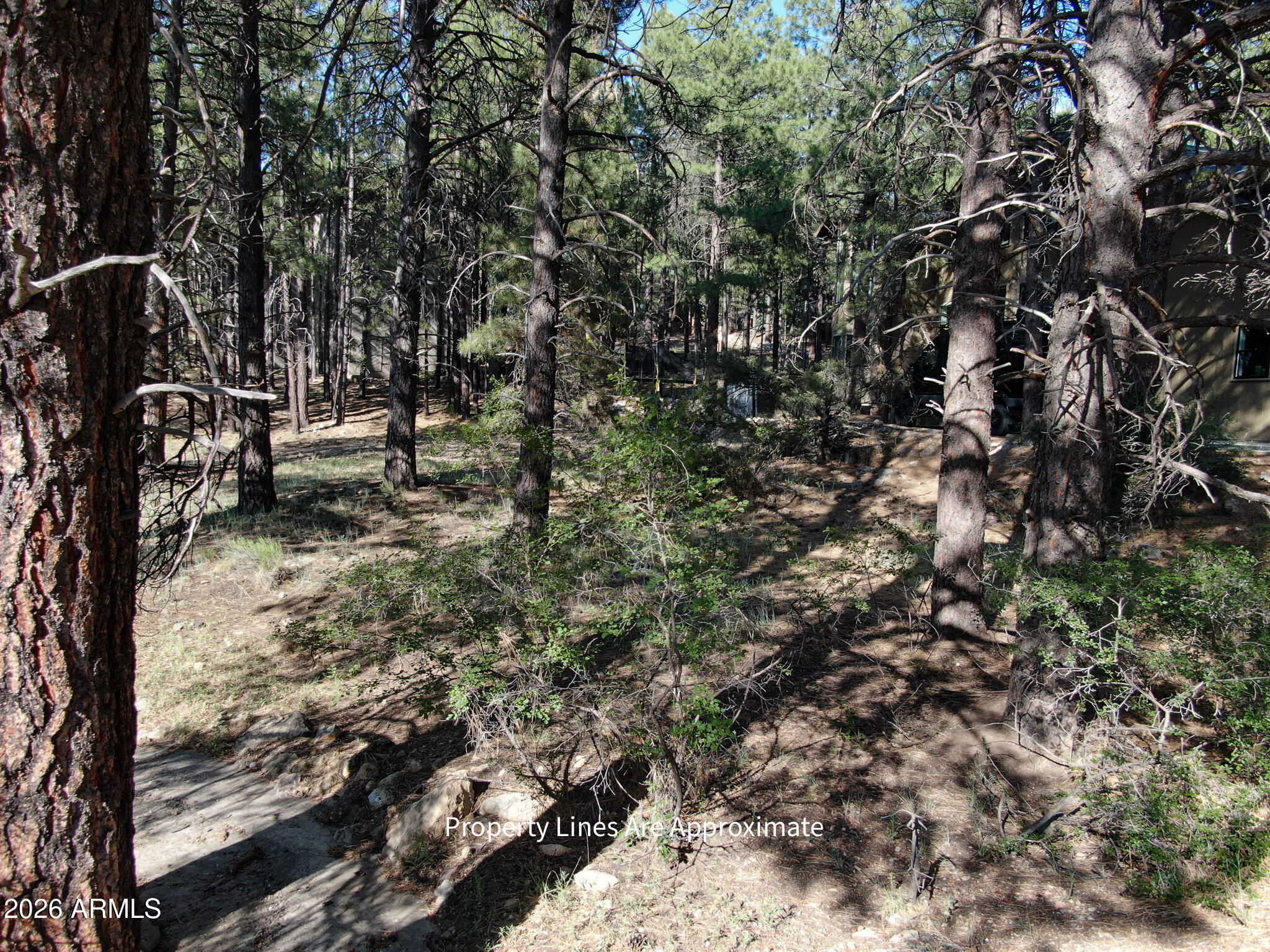 Evergreen Lot 42 Sixteenth: SW Quarter: SW Section: 18 Township: 21N - Land