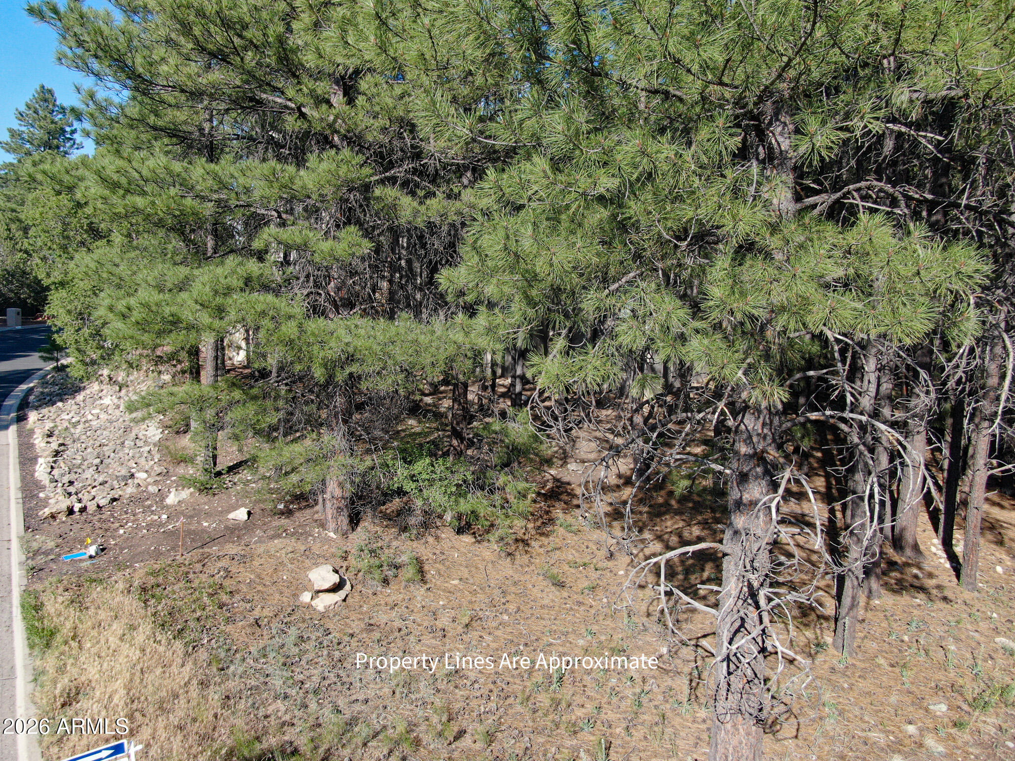 Evergreen Lot 42 Sixteenth: SW Quarter: SW Section: 18 Township: 21N - Land