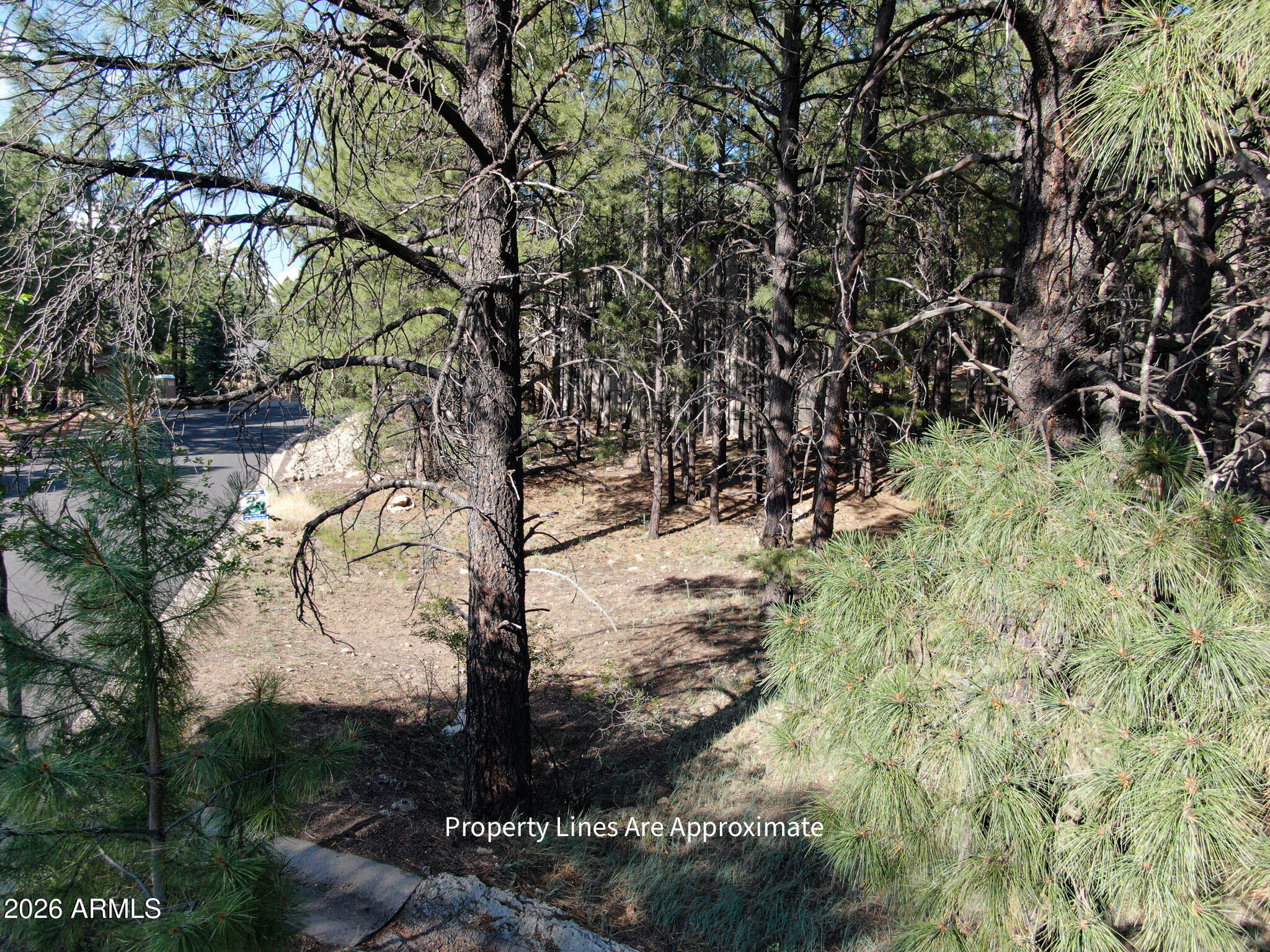 Evergreen Lot 42 Sixteenth: SW Quarter: SW Section: 18 Township: 21N - Land